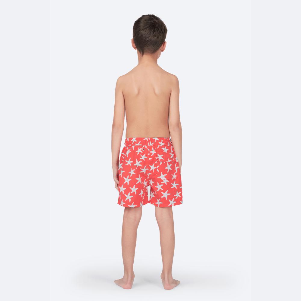 Rose & Blue Starfish