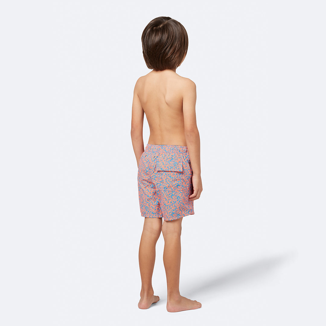 Mid Blue & Orange Coral