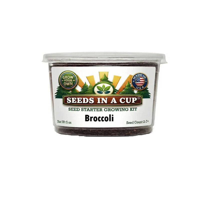 Blackberry | Shrub Seed Starter Grow Kit |