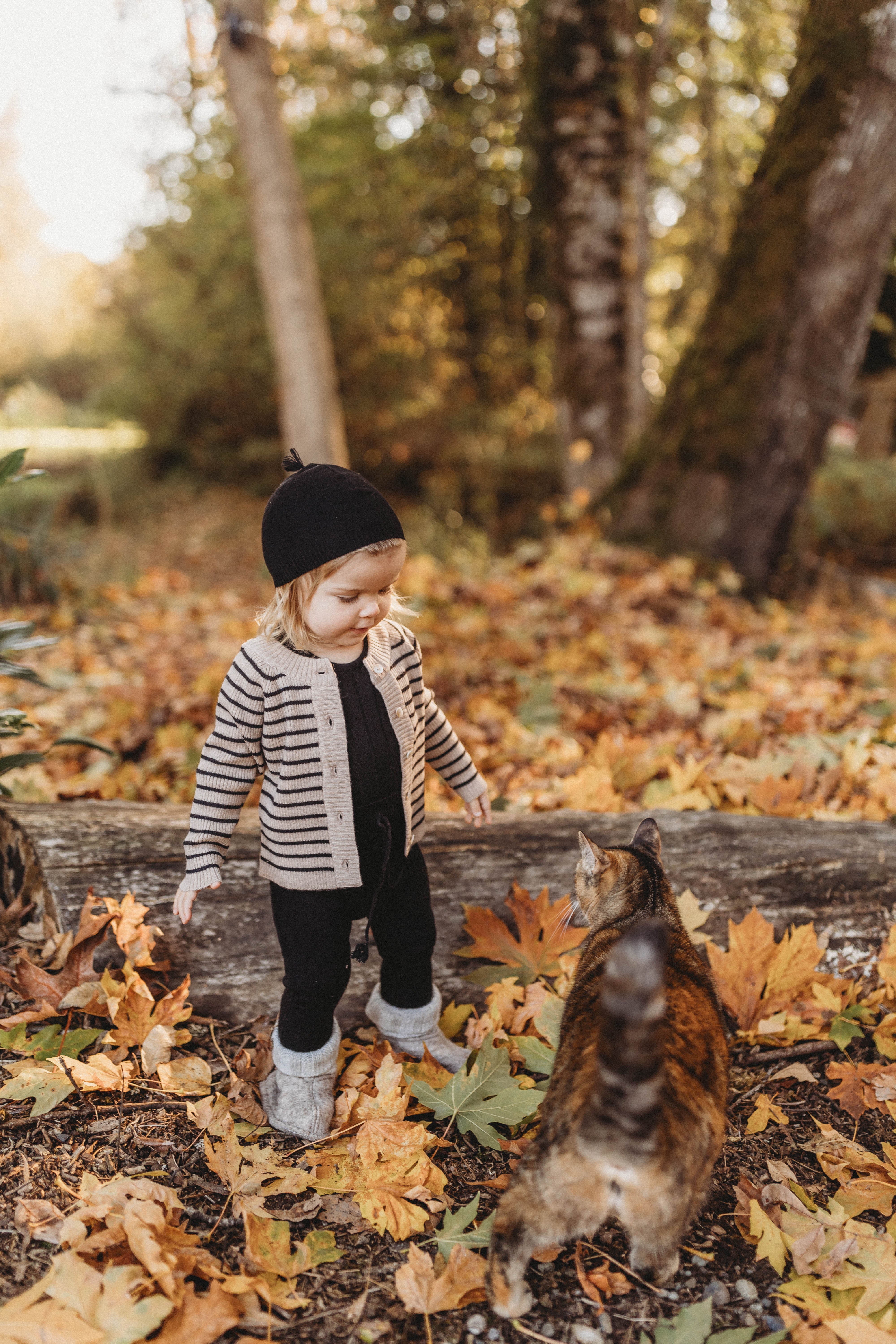 Cashmere Cardigan | Black/beige