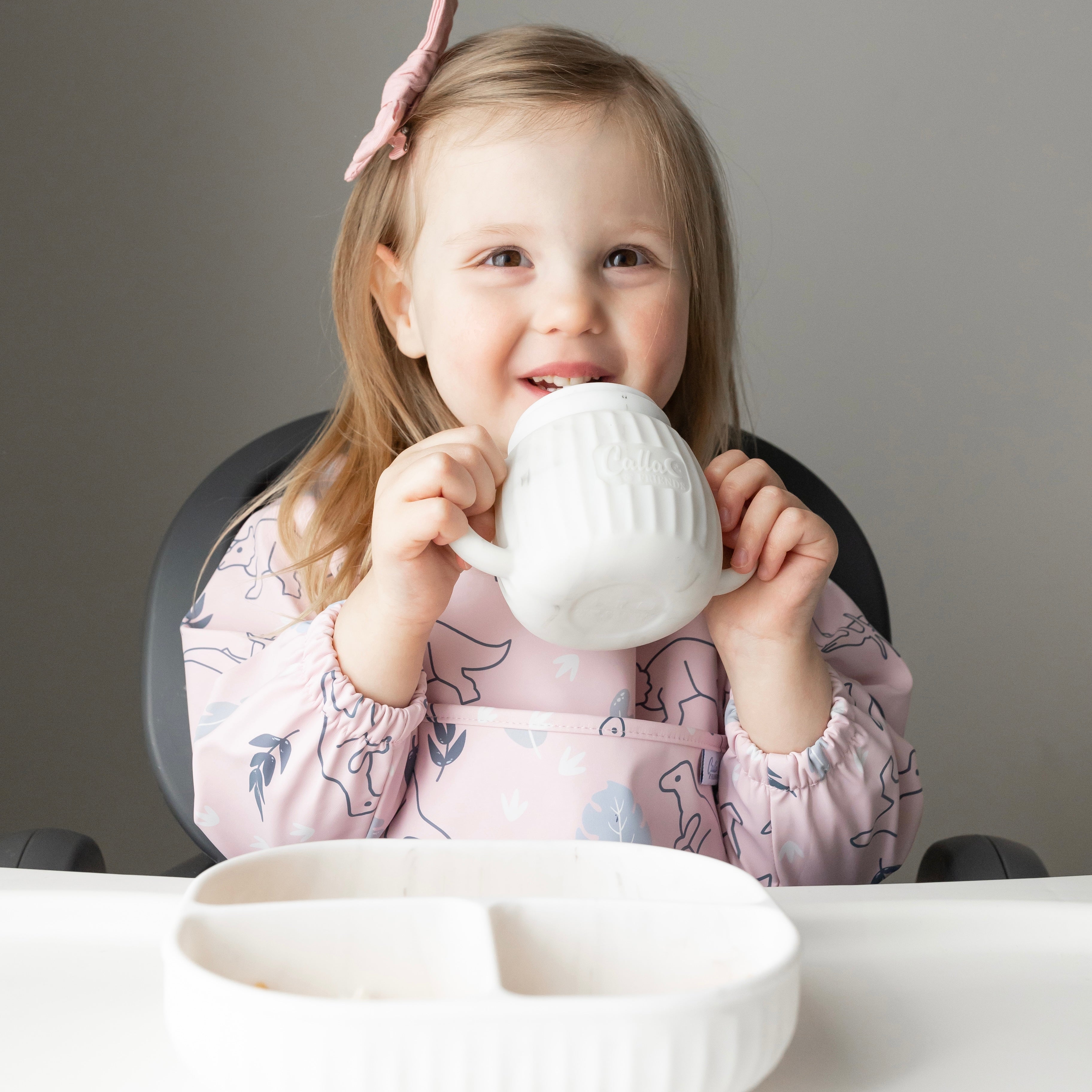 The Grayson Long Sleeve Bib - Dino