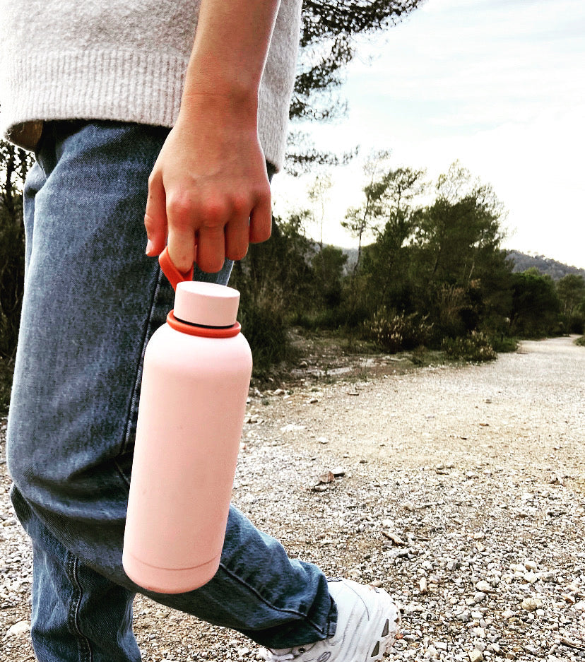 Insulated Reusable Bottle 16 Oz - Blush