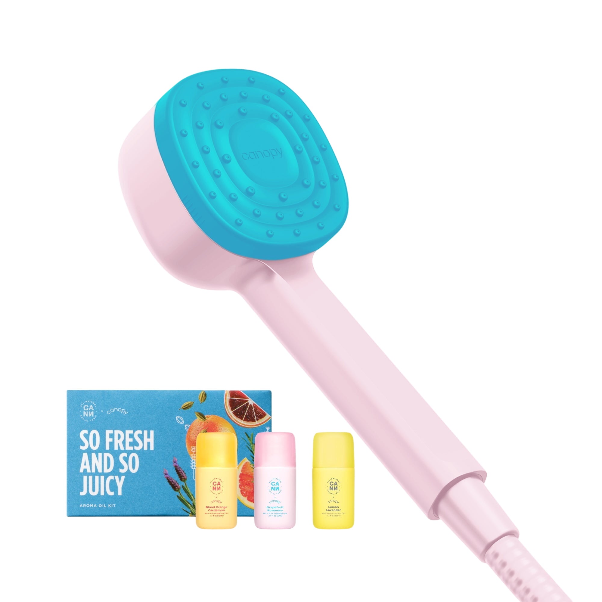 Handheld Filtered Showerhead