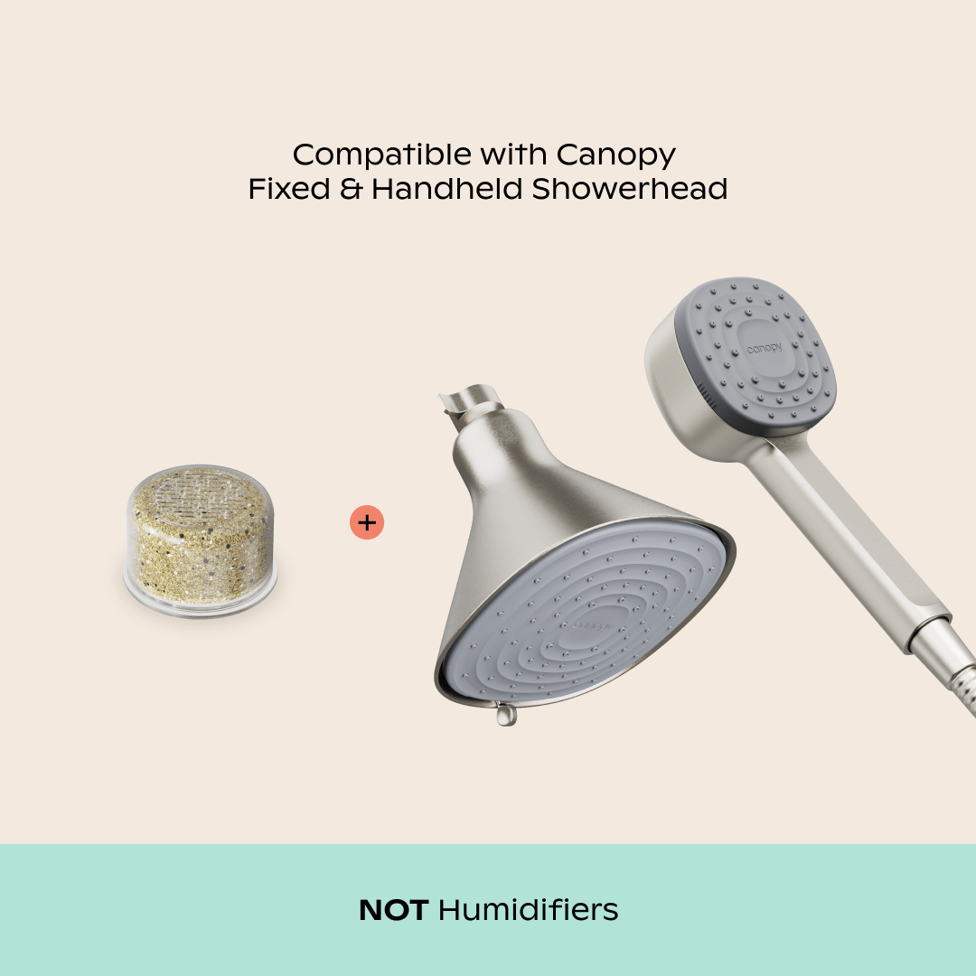Showerhead Filter