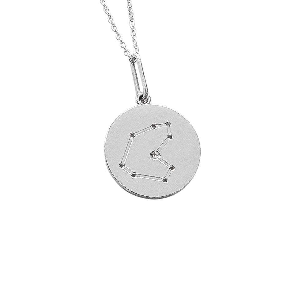Constellation Charm Necklace