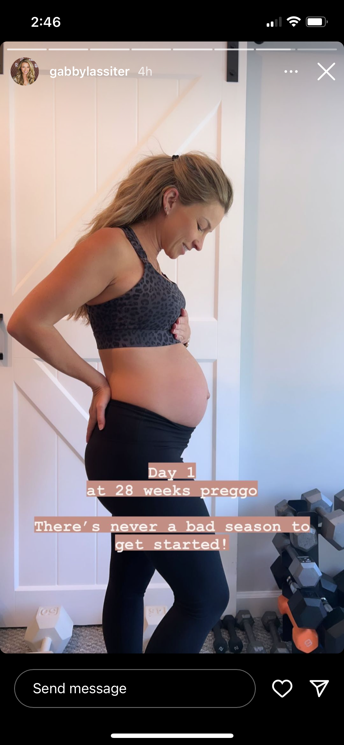 Chloé 4 Running Nursing & Pumping Sports Bra (gray Leopard)