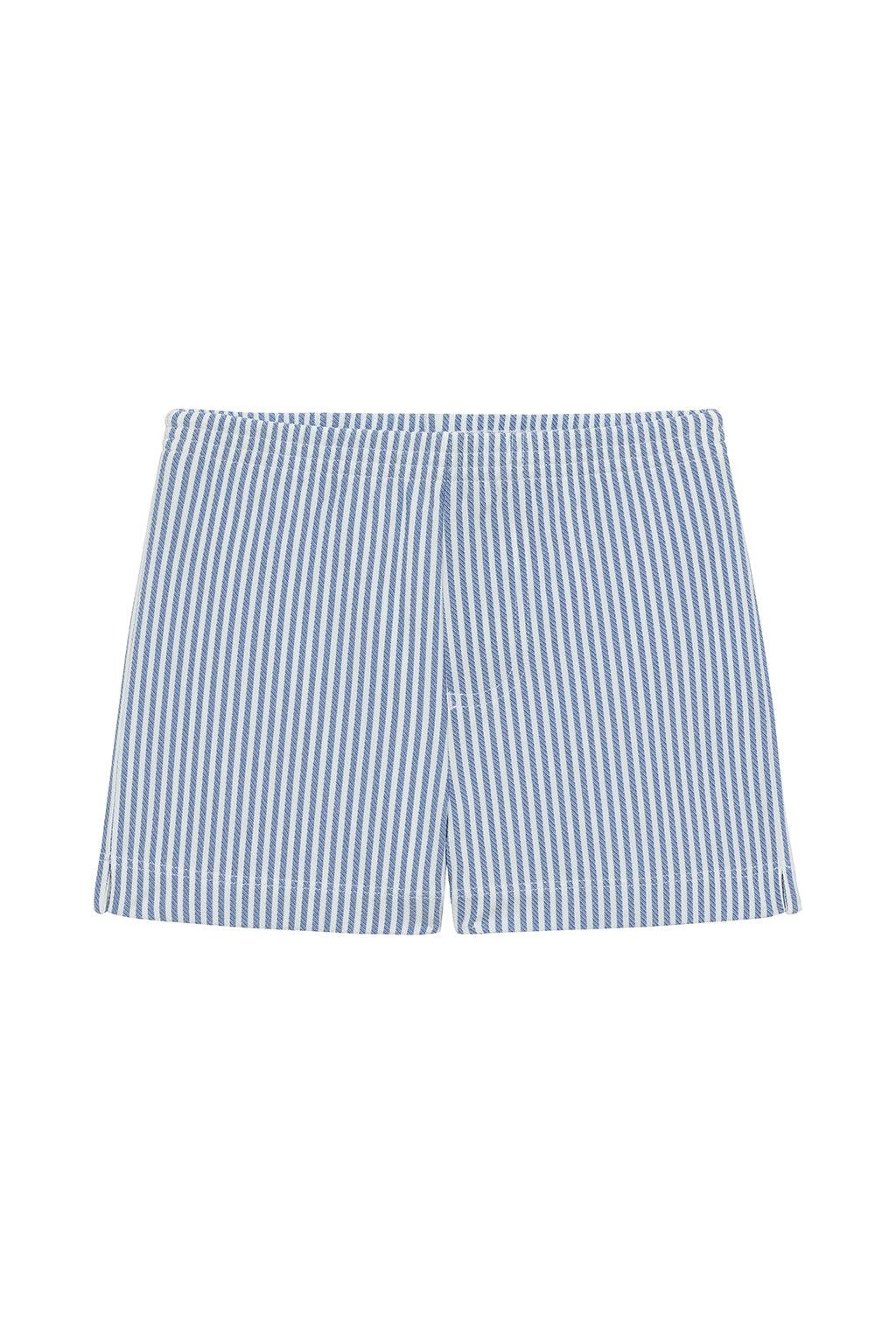Classic Blue Stripe Mini Swim Trunk