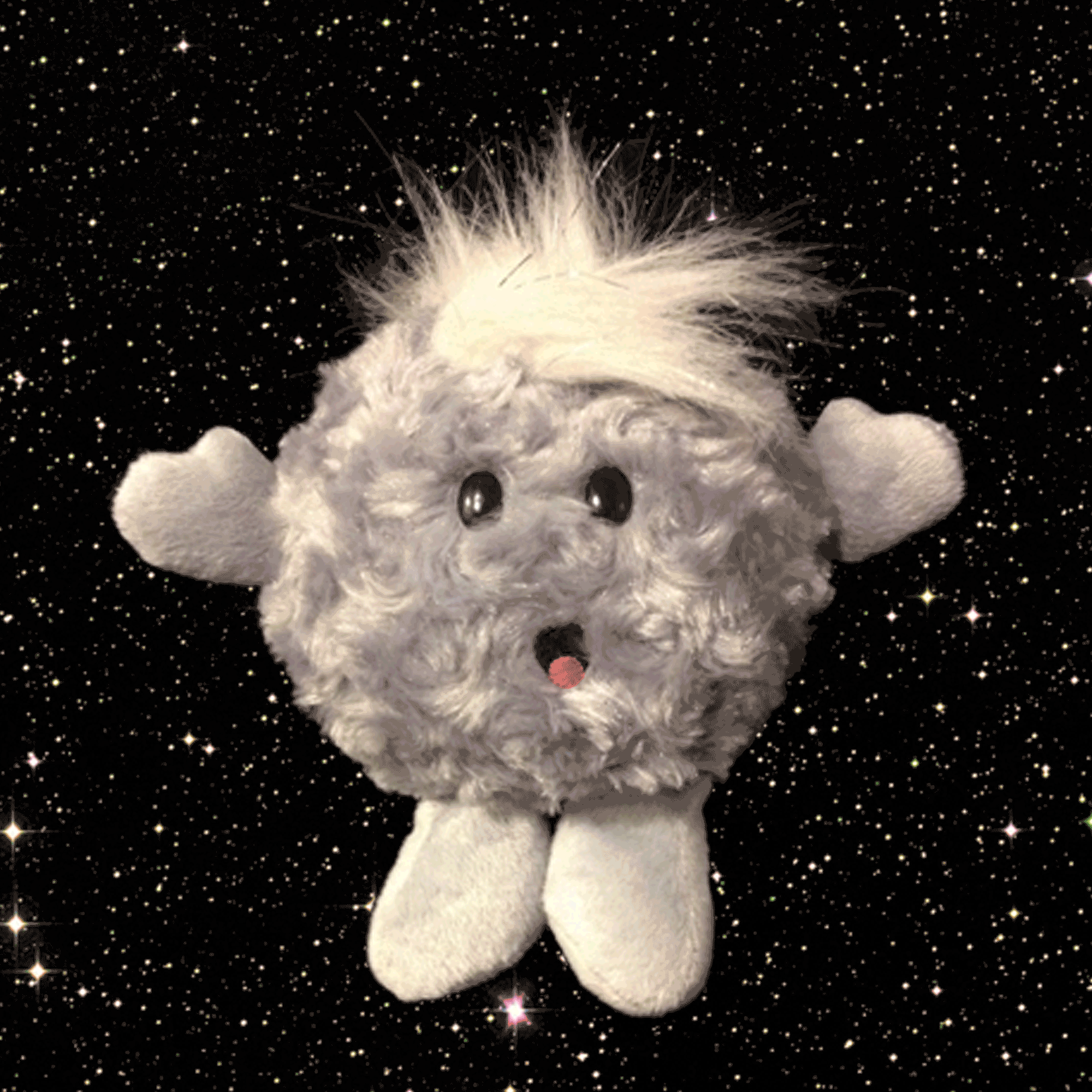 Comet Buddy