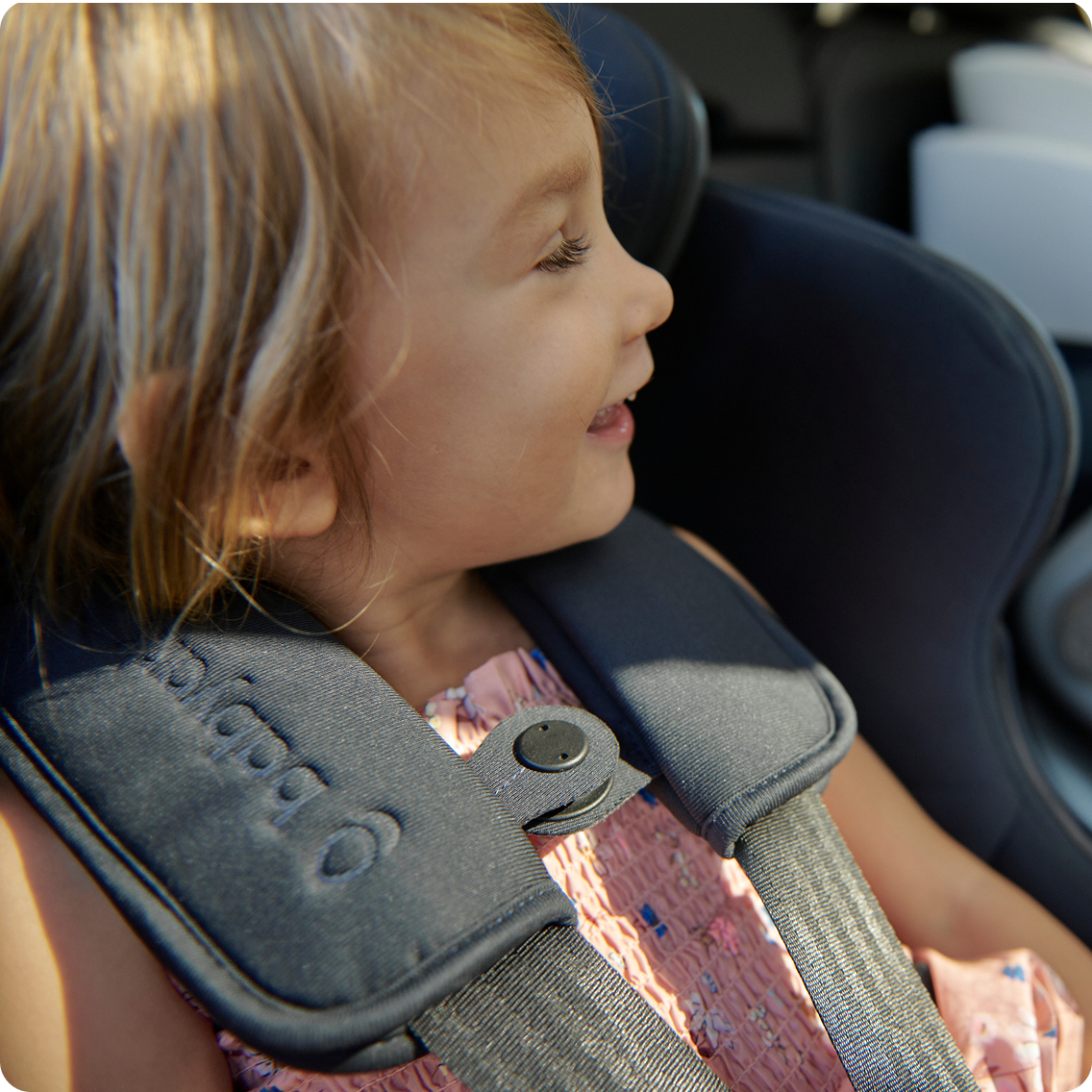 The Babyark Advanced Convertible Car Seat