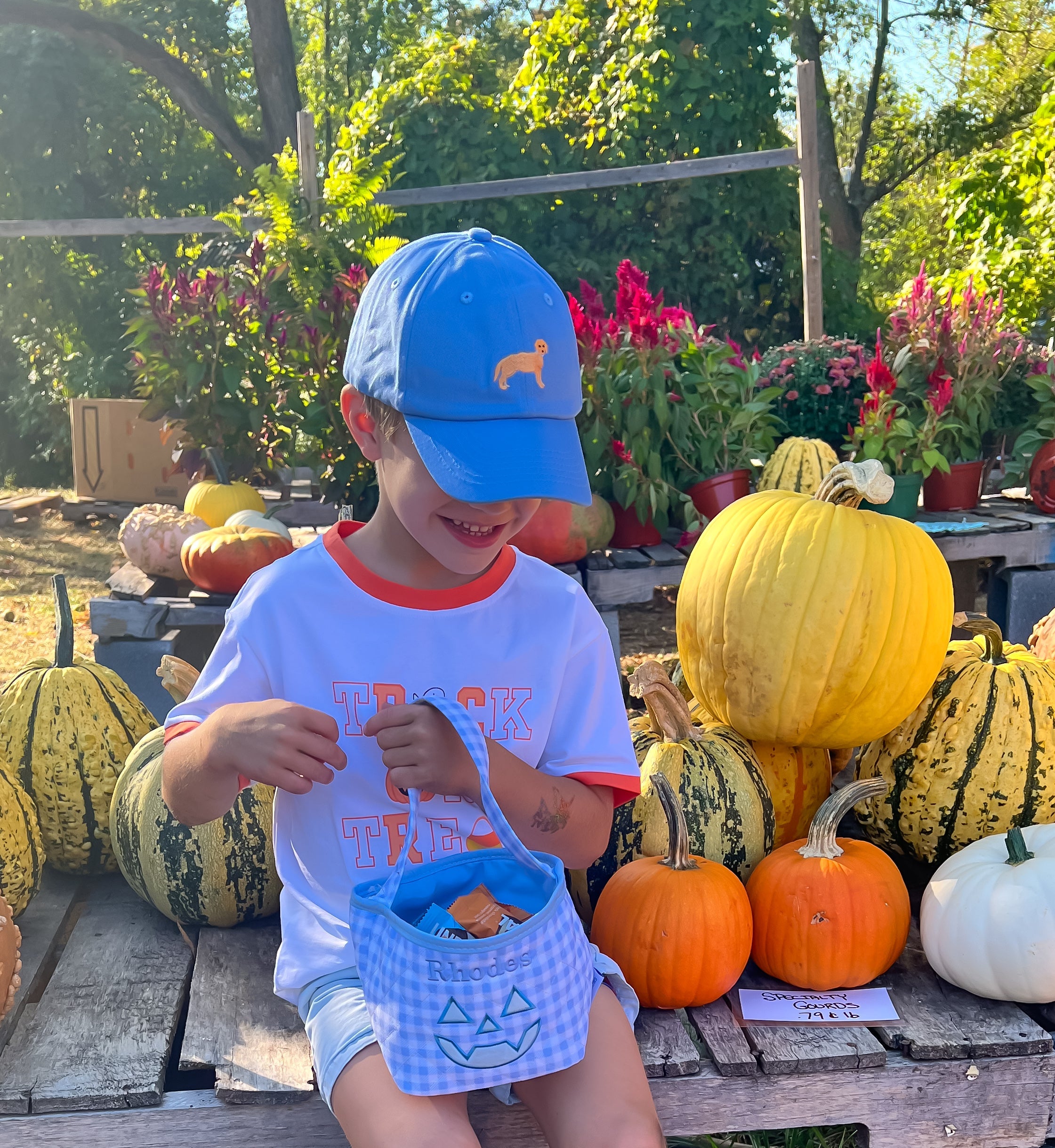 Golden Retriever Dog Baseball Hat (baby/toddler, Youth)