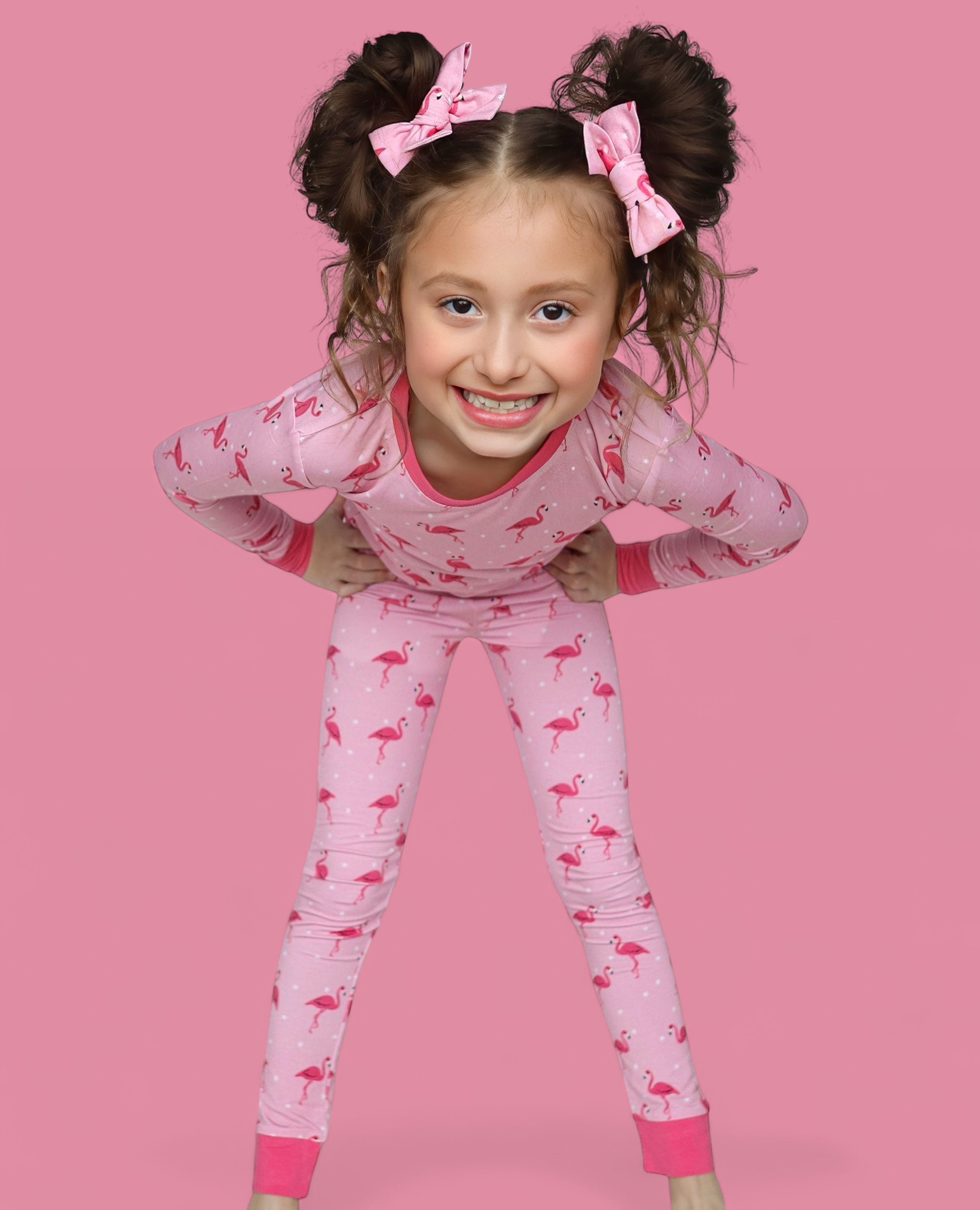 Flocking Flamingos Dream Bow Hair Clips