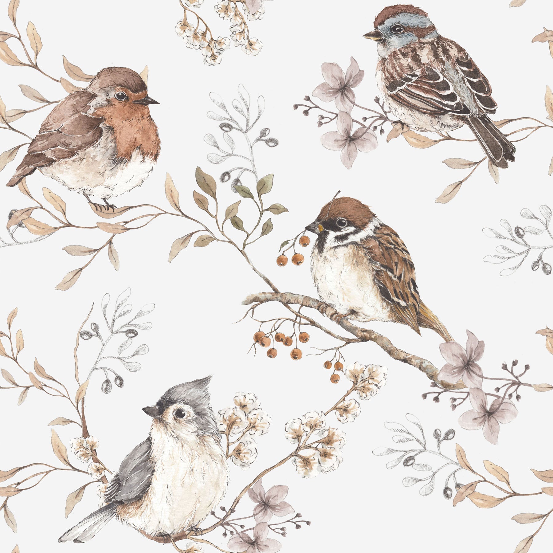 White/gray Birds Wallpaper