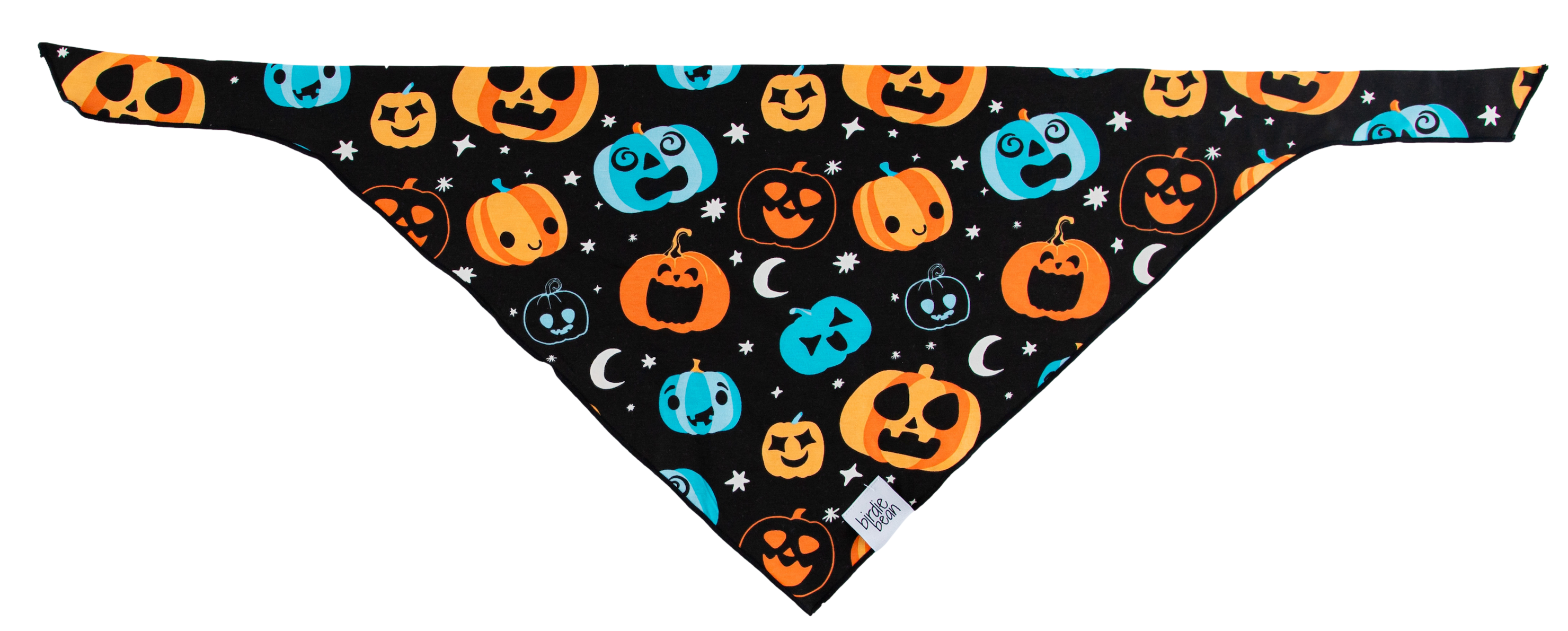 Dex Glow-in-the-dark Pet Bandana