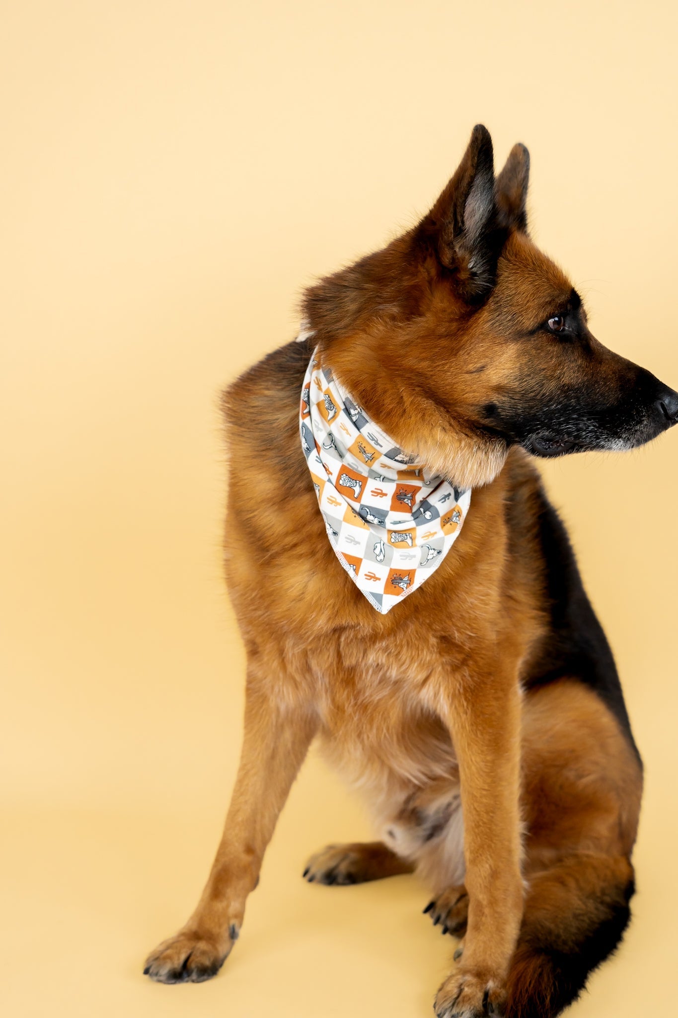 Wild West Checkers Dream Dog Bandana