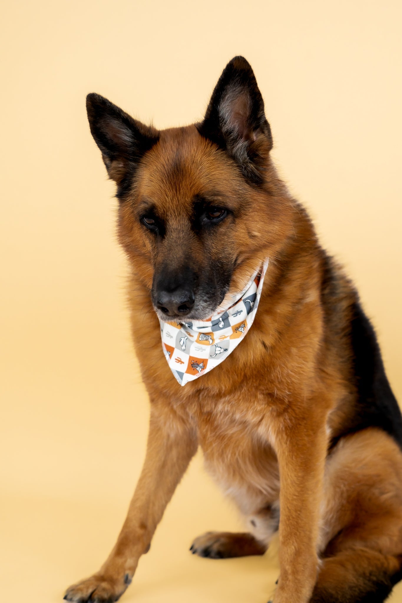 Wild West Checkers Dream Dog Bandana