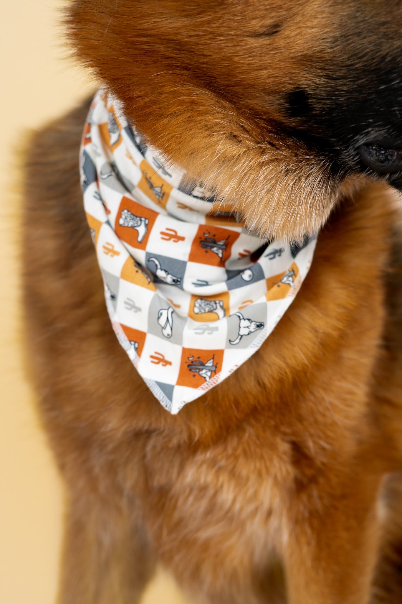 Wild West Checkers Dream Dog Bandana