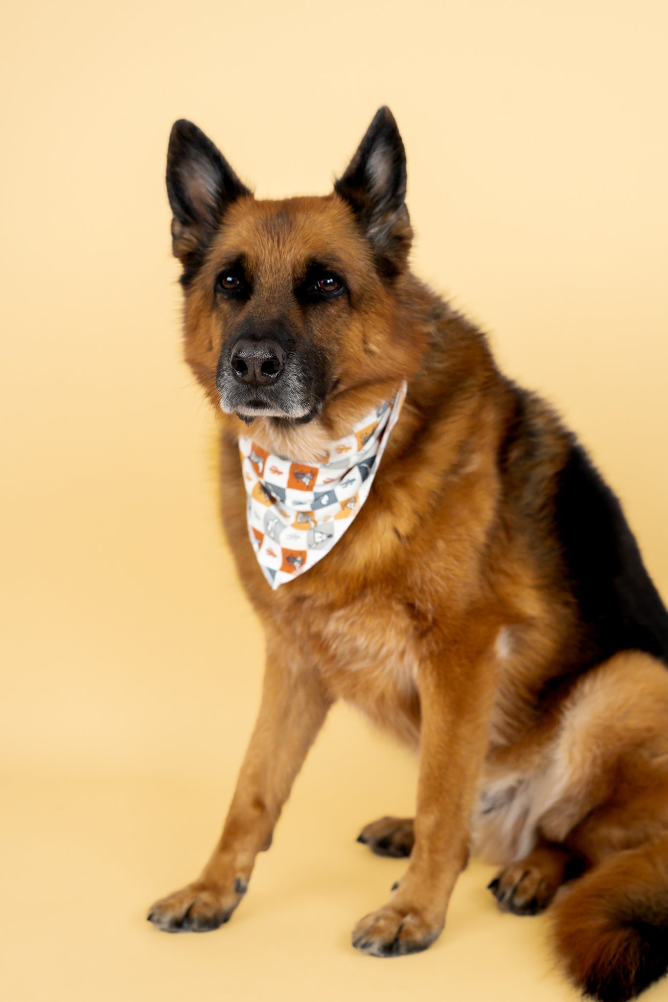 Wild West Checkers Dream Dog Bandana