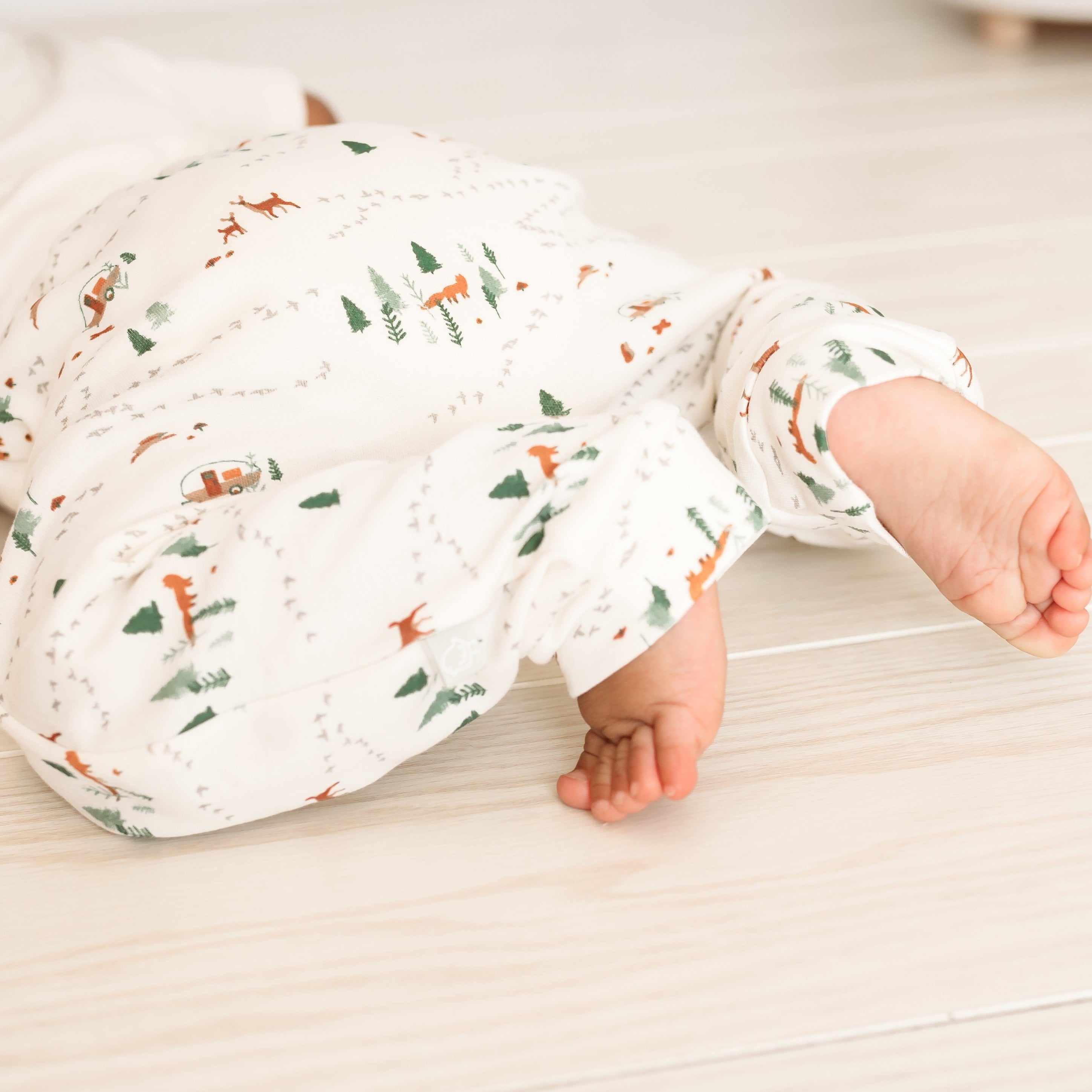 Lounge Pants | Into The Woods