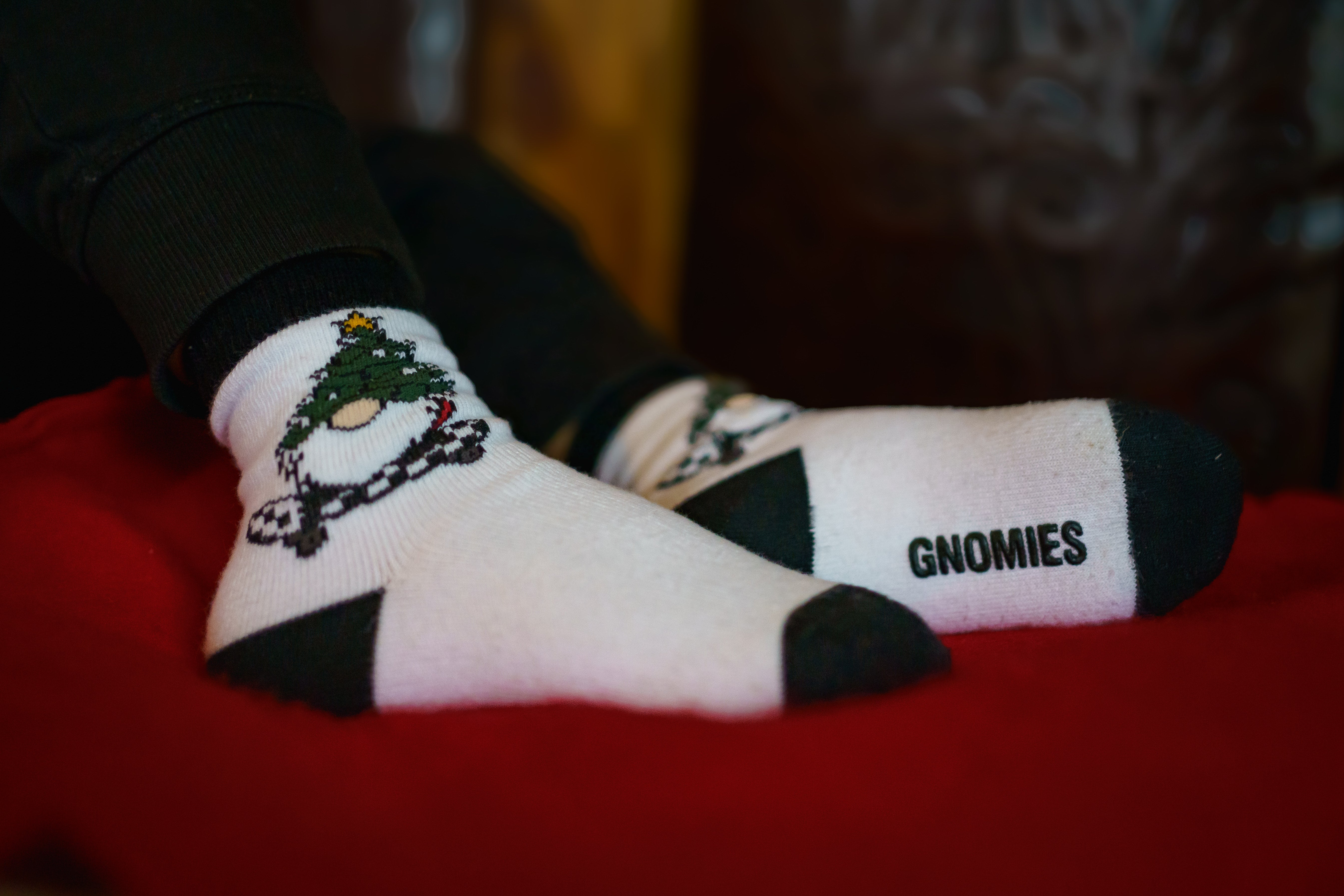Gnome For The Holidays