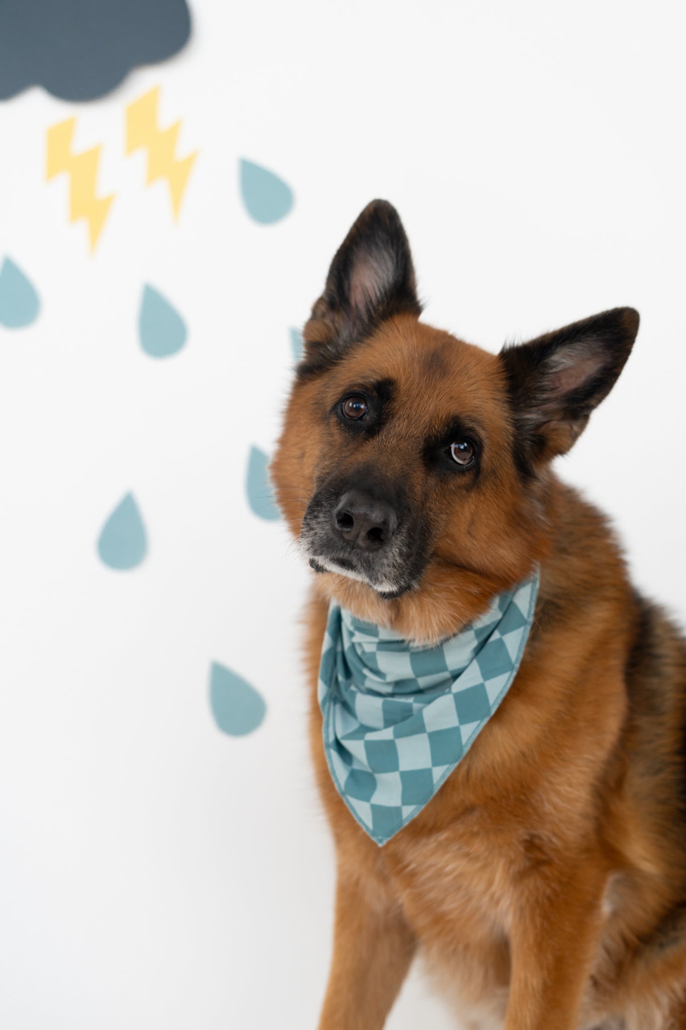 Stormy Checkers Dream Dog Bandana