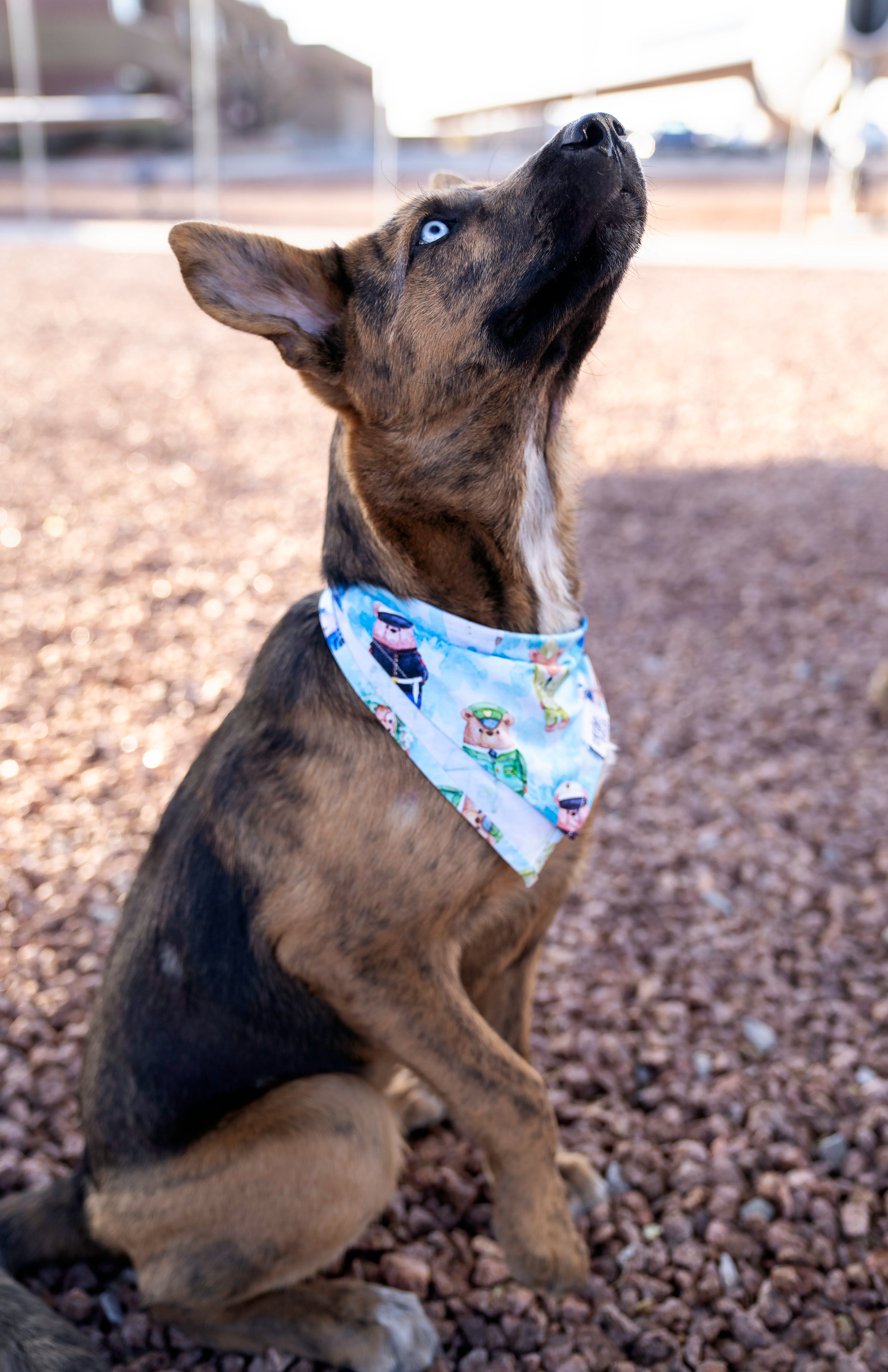 Baker Pet Bandana