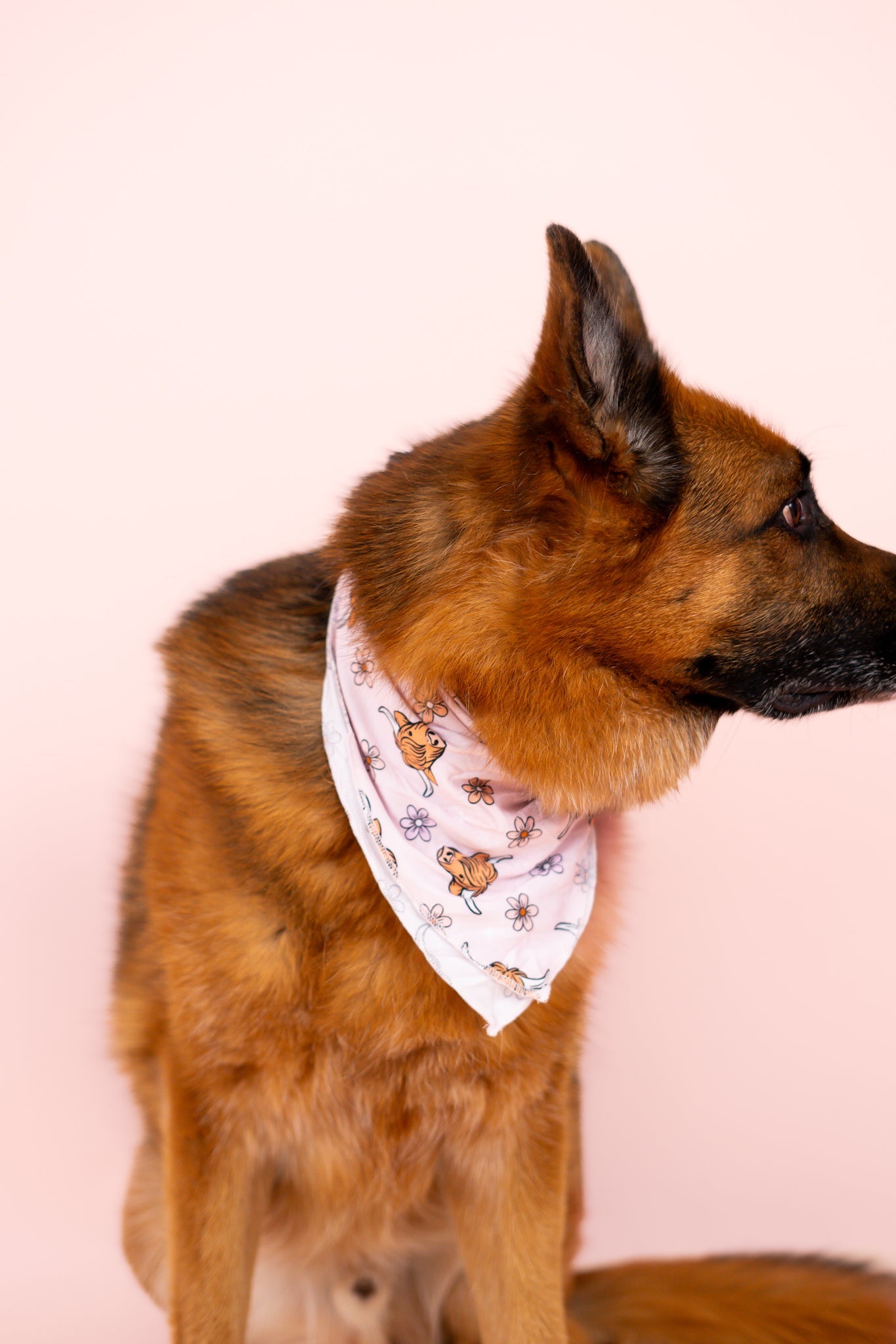 Exclusive Highland Cutie Dream Dog Bandana