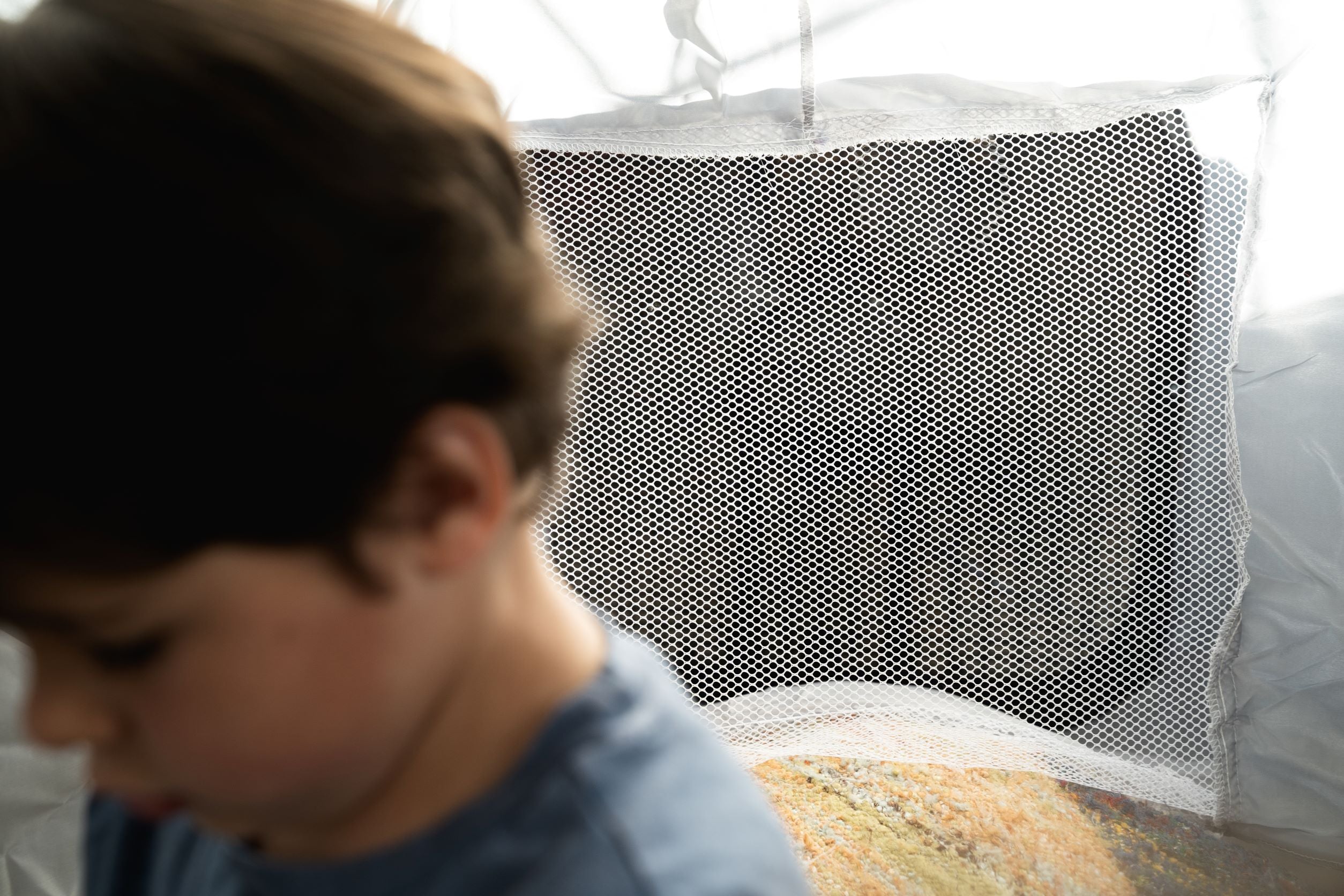 Flodome - Instant Fort!