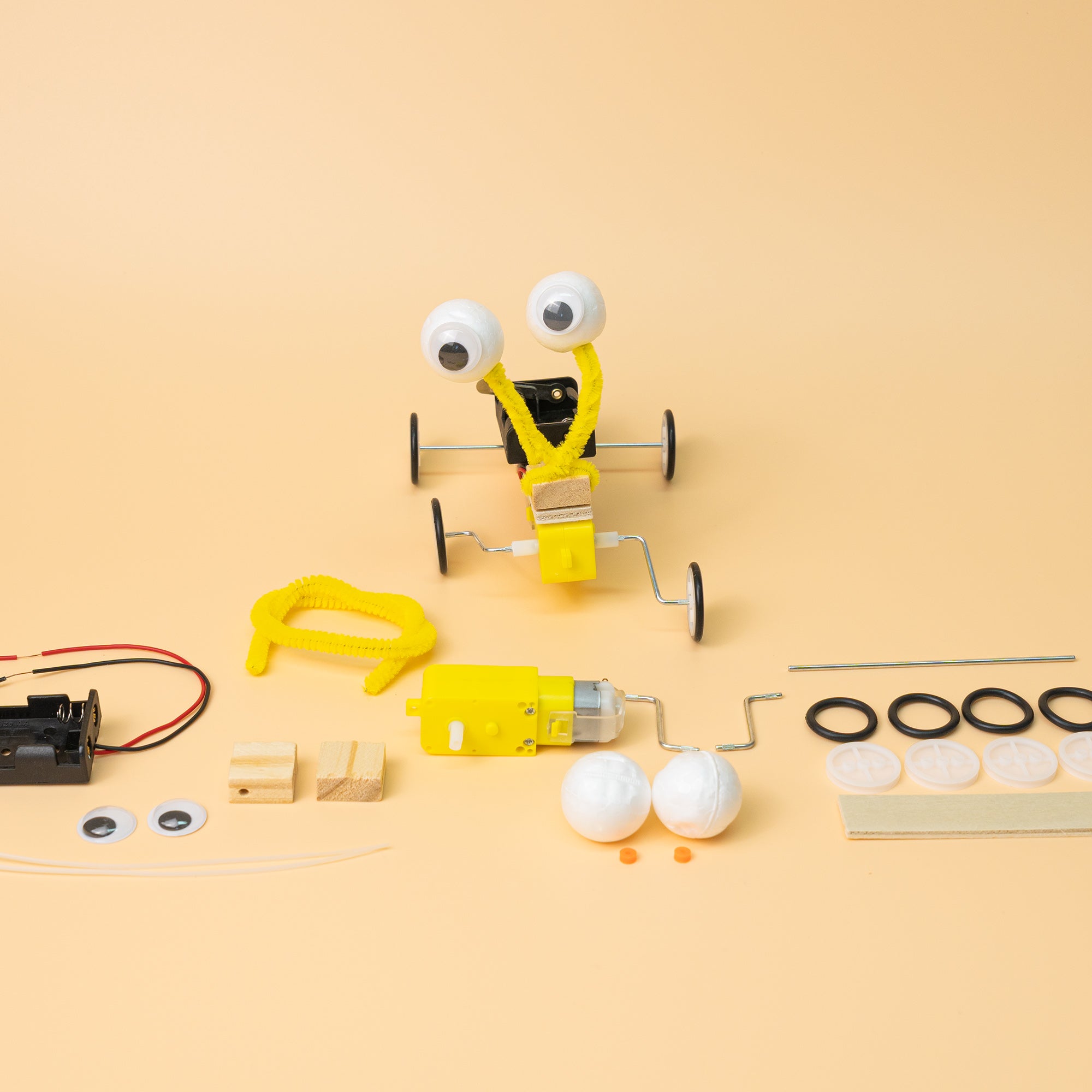 Bug Robot Diy Kit, Educational Stem Toy