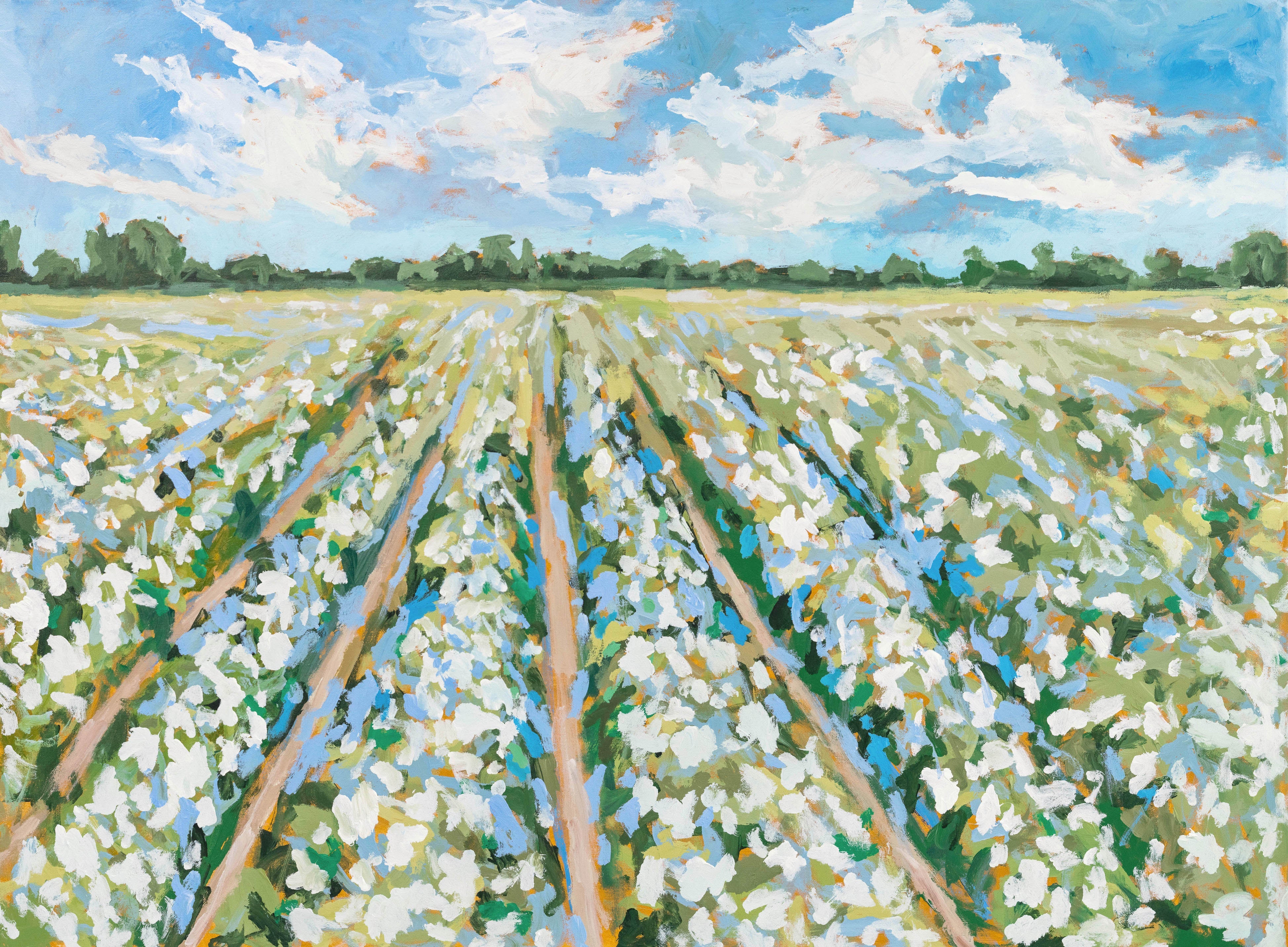 Fields In Carolina Print