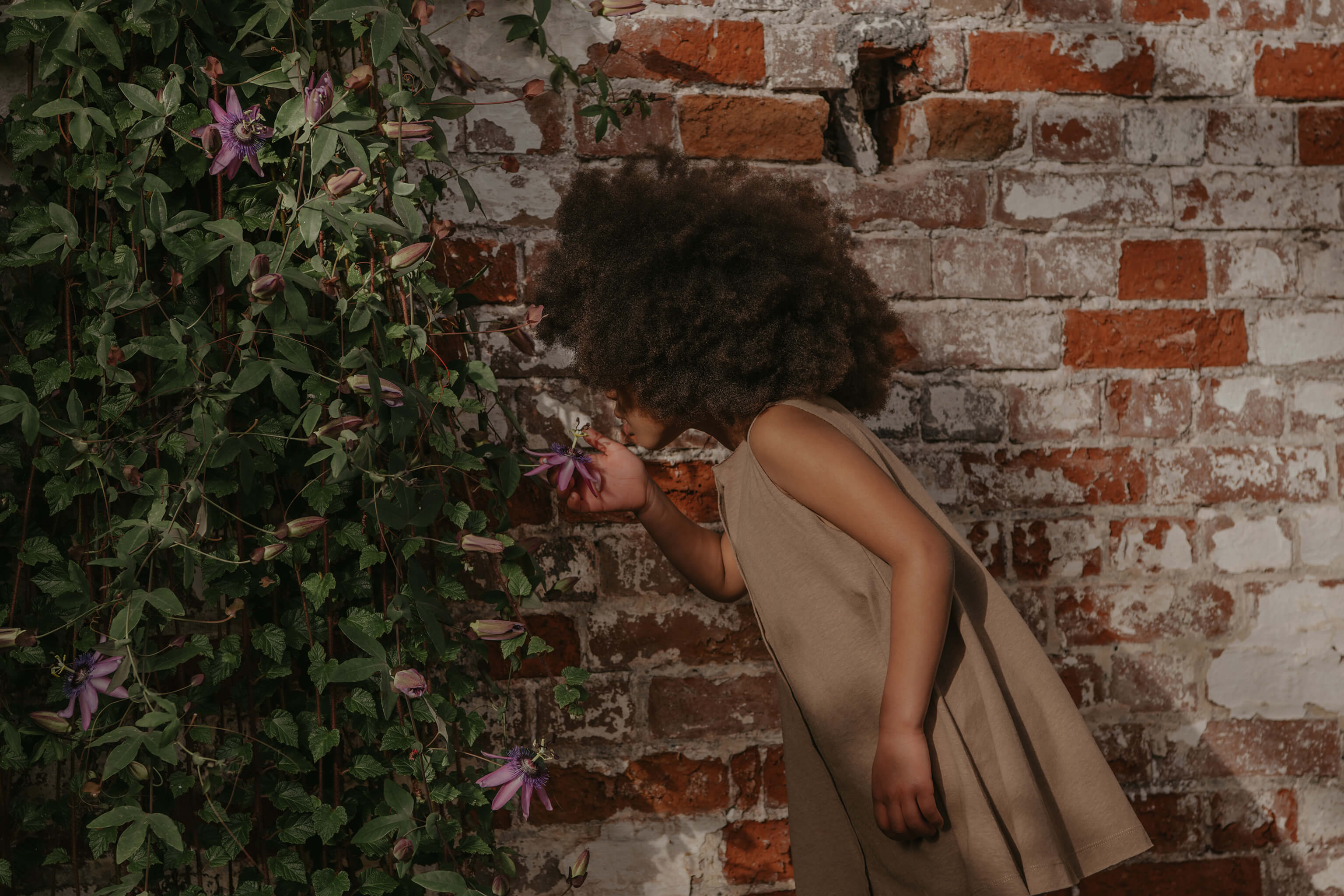 The Wildwood Dress