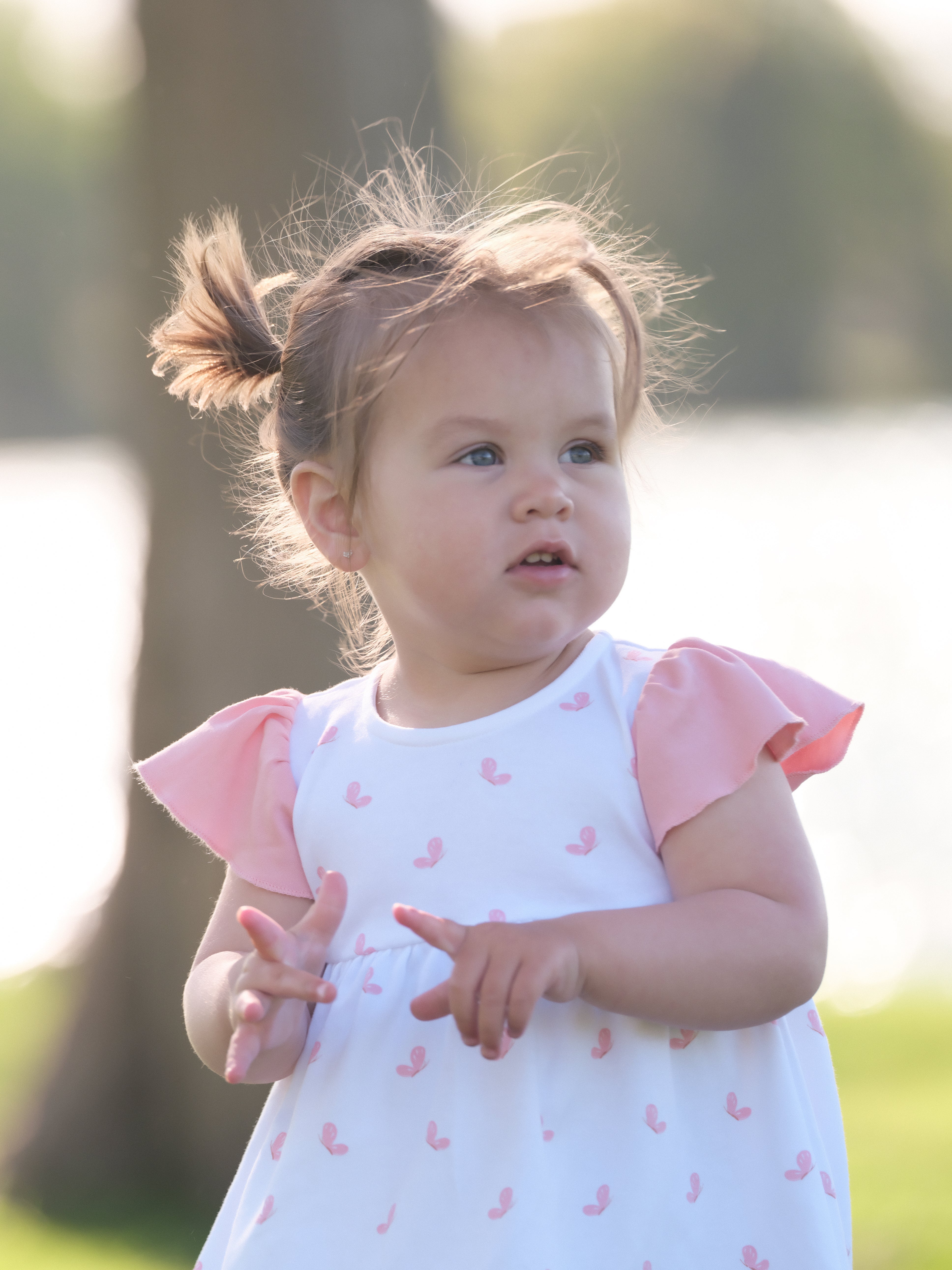 Organic Cotton Alice Ruffled Dress - Butterfly