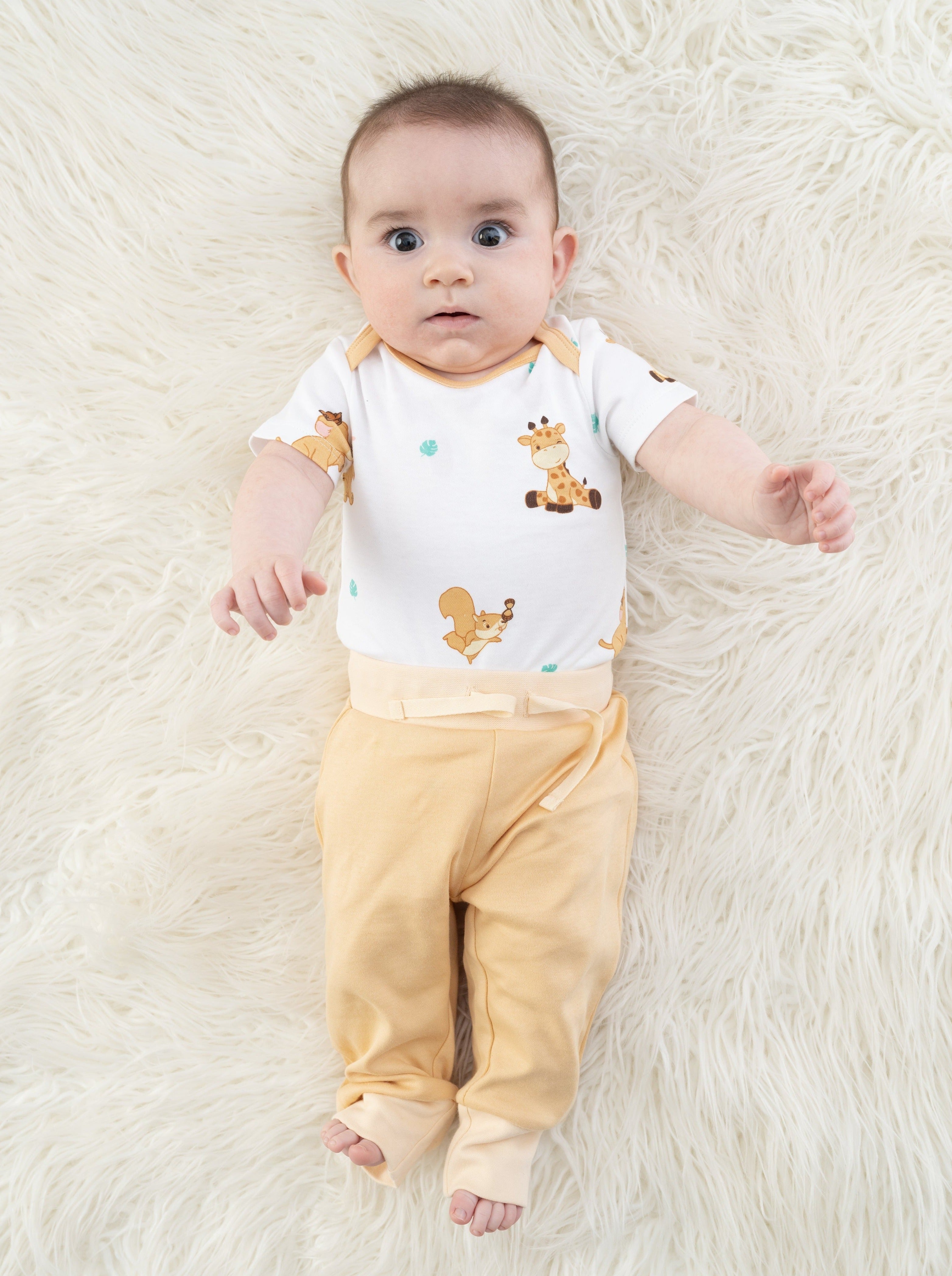 Organic Cotton Jogger Pants - The Animal Kingdom