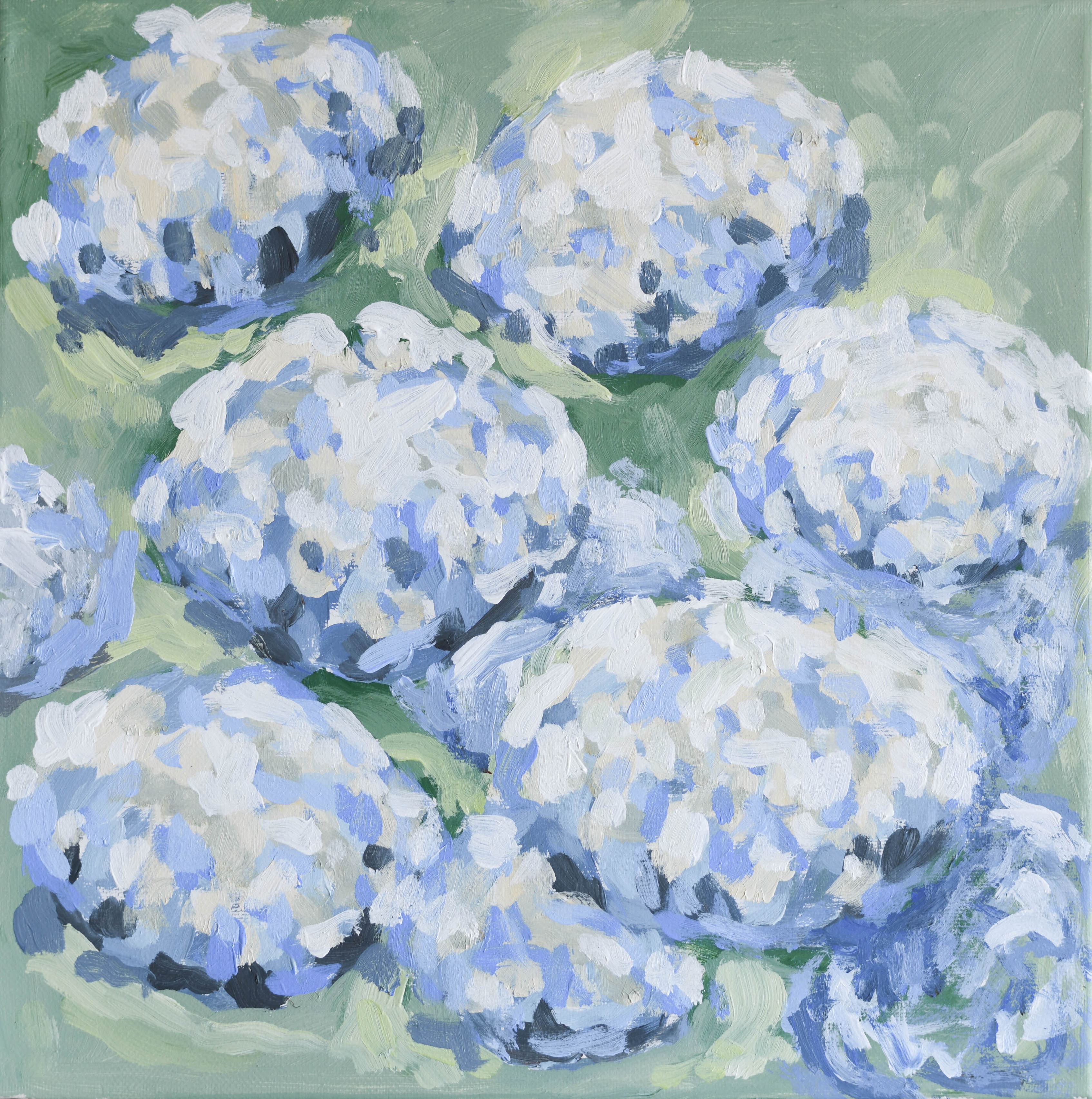 Hydrangeas From Him Print