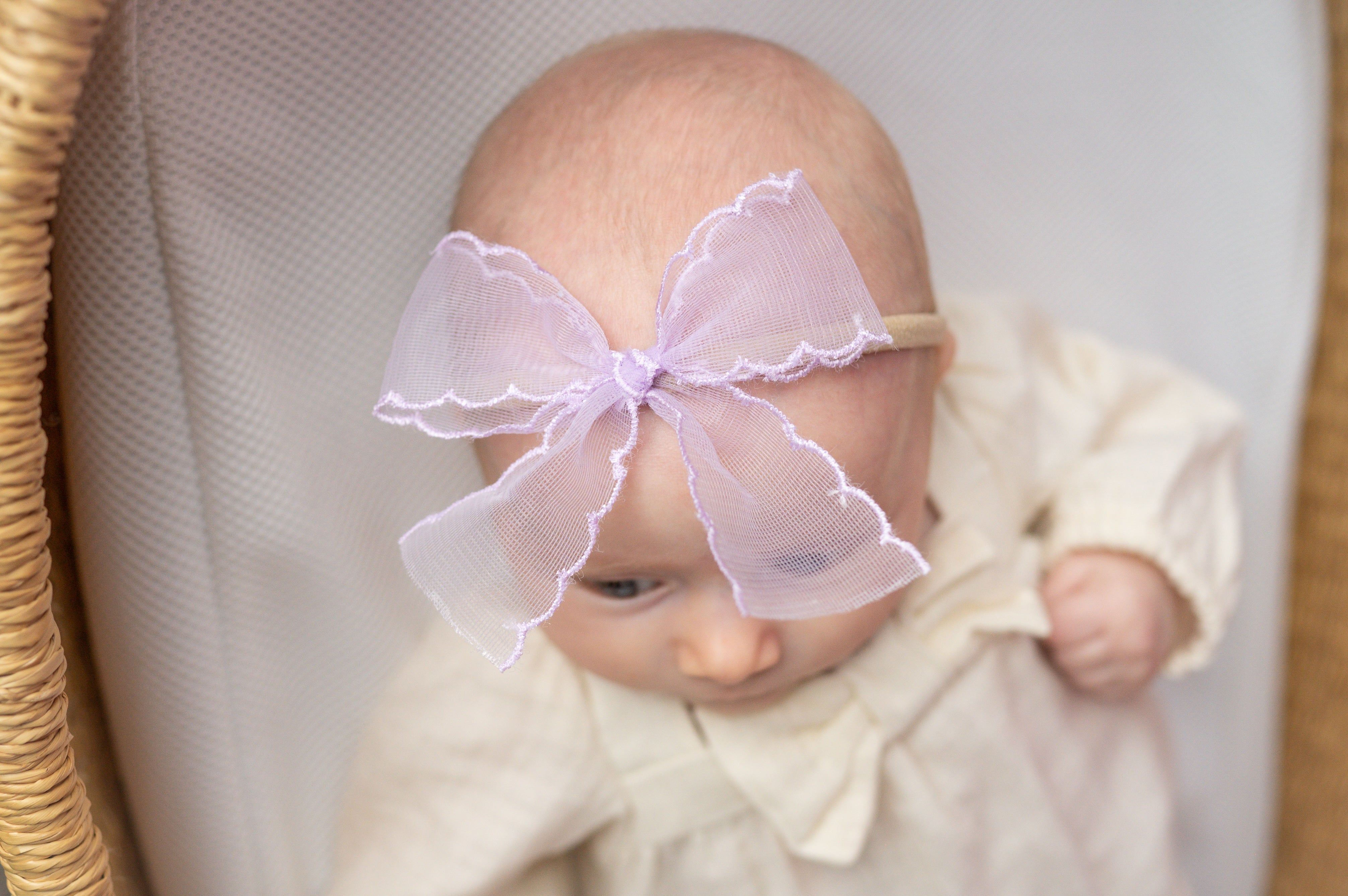 Lavender Mist | Ribbon Bow