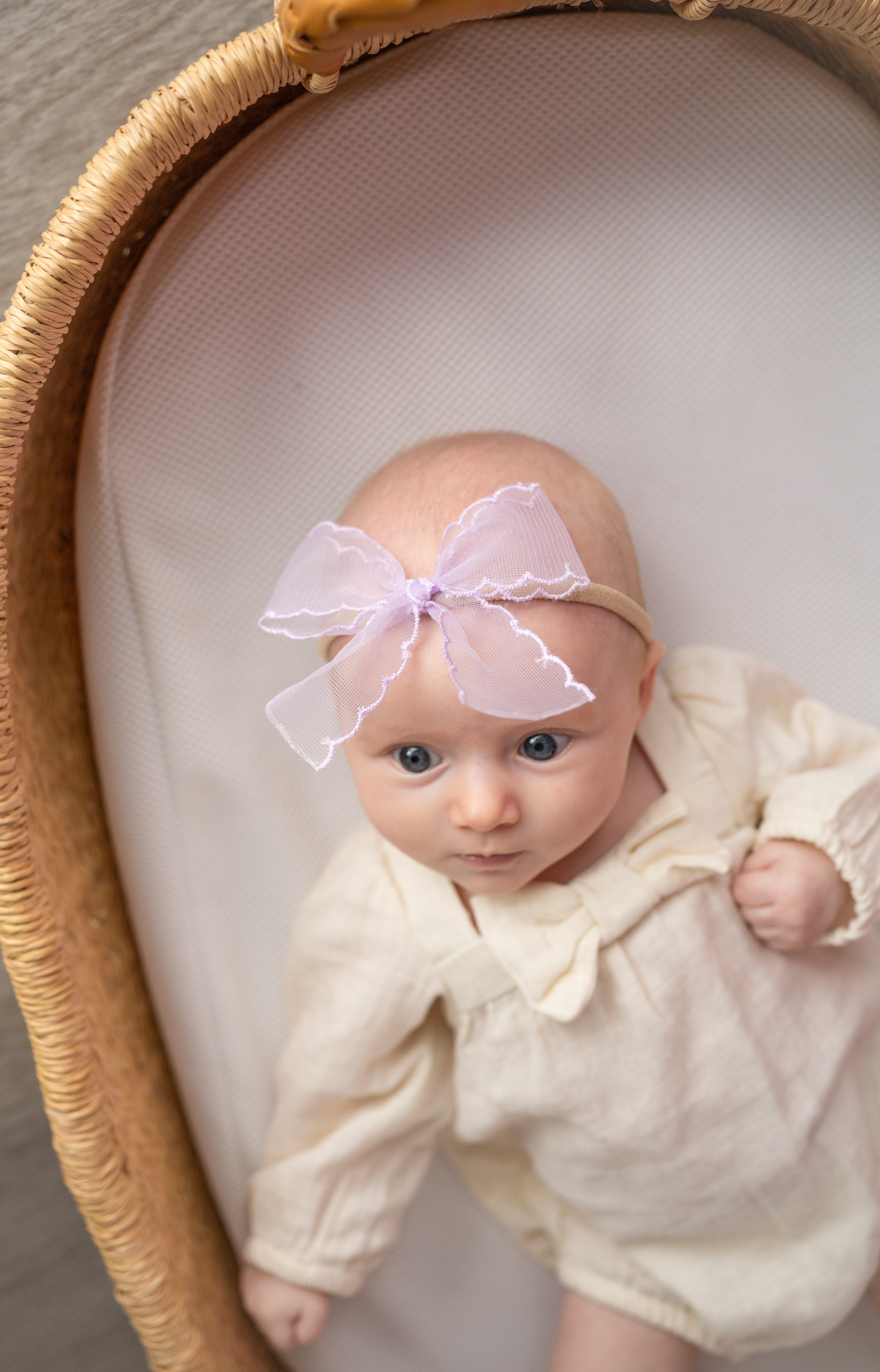 Lavender Mist | Ribbon Bow