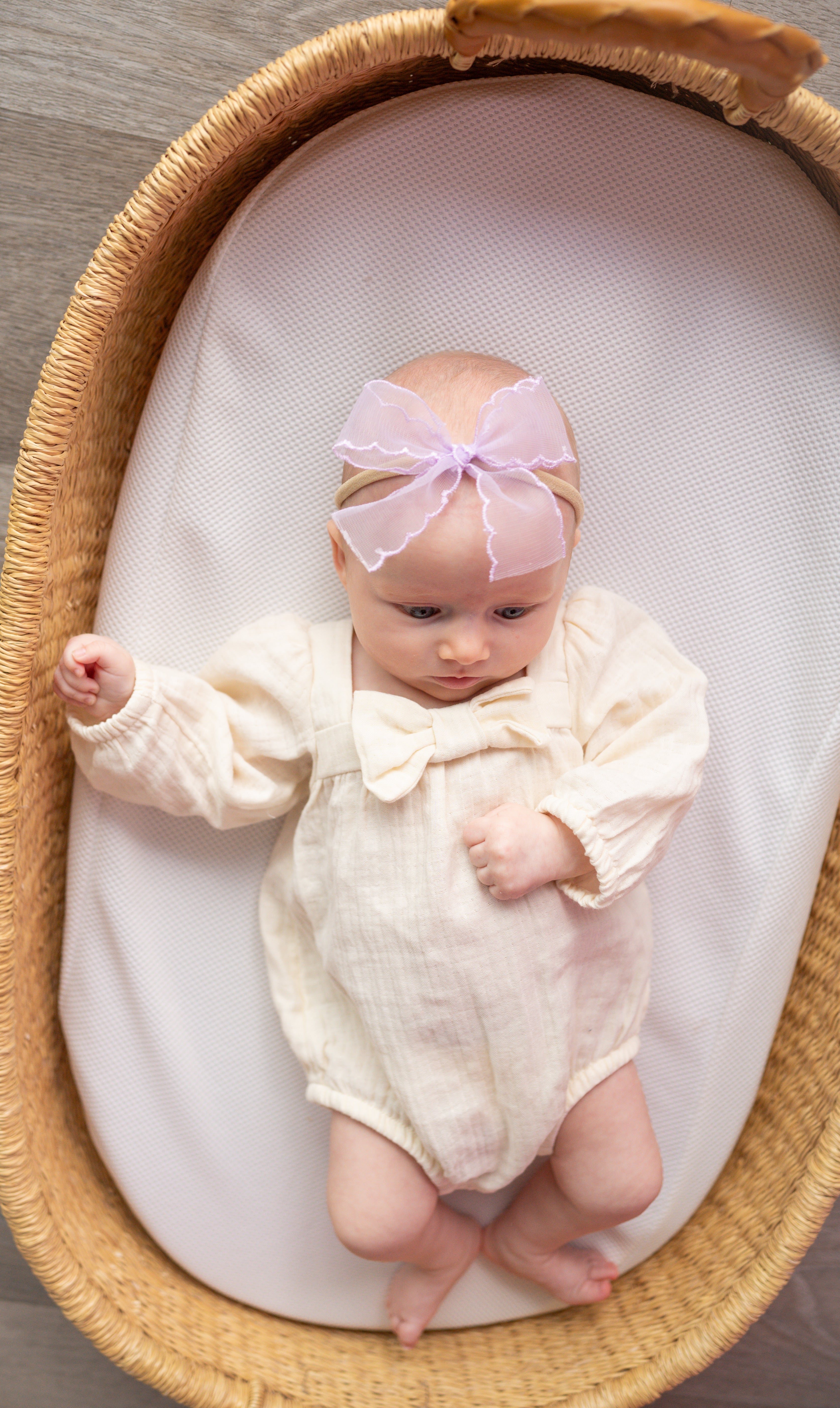 Lavender Mist | Ribbon Bow