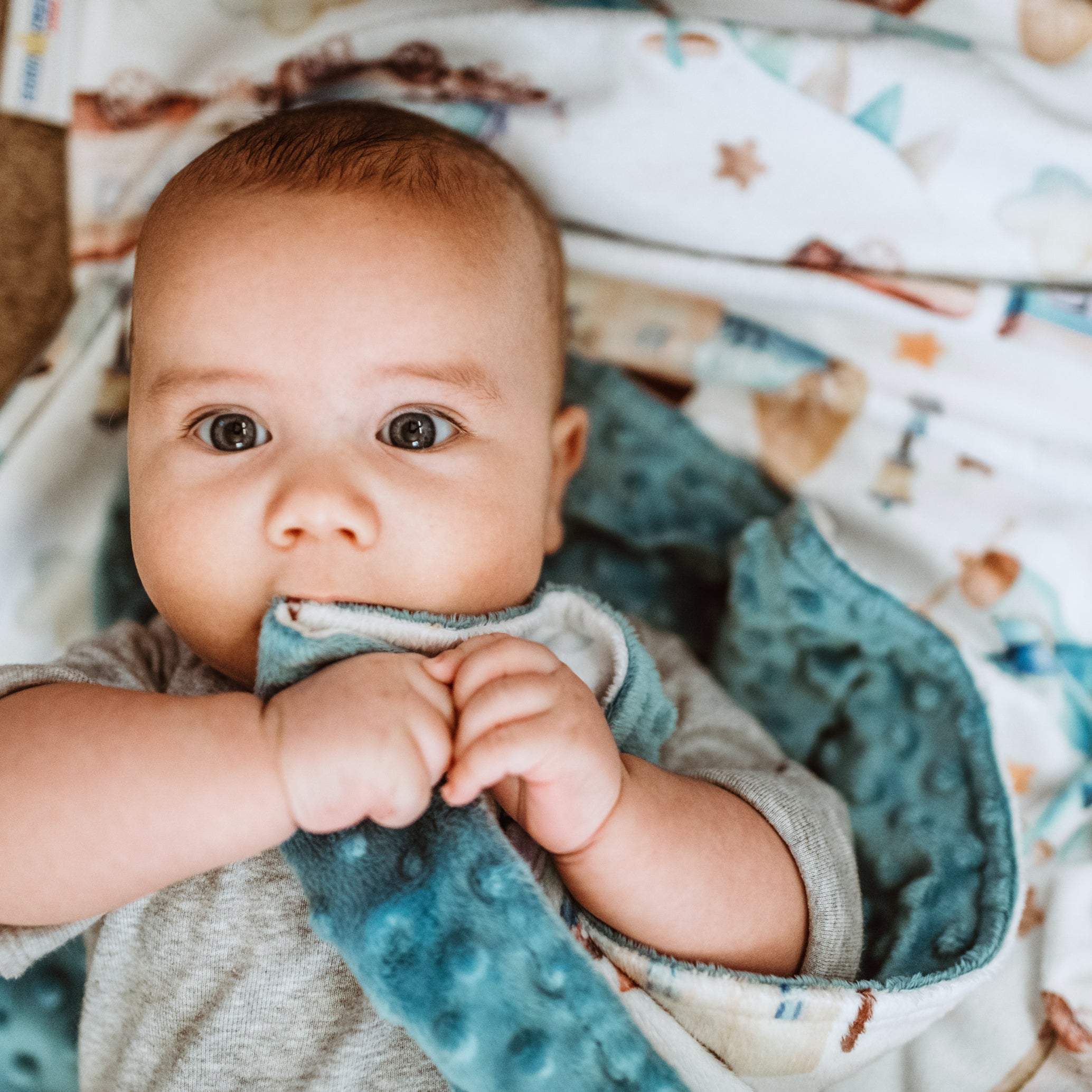 Planes, Trains, Automobiles Minky Baby Blanket