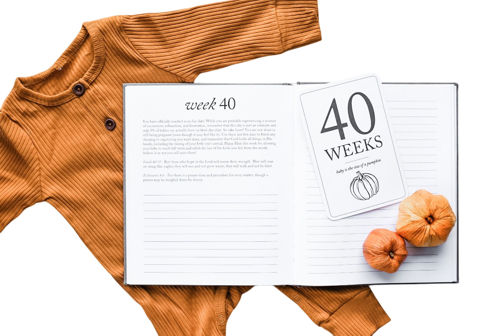 Pregnancy Gift Bundle