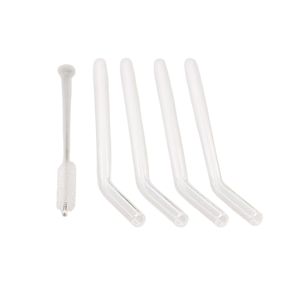 Glass Straws, 4 Pack