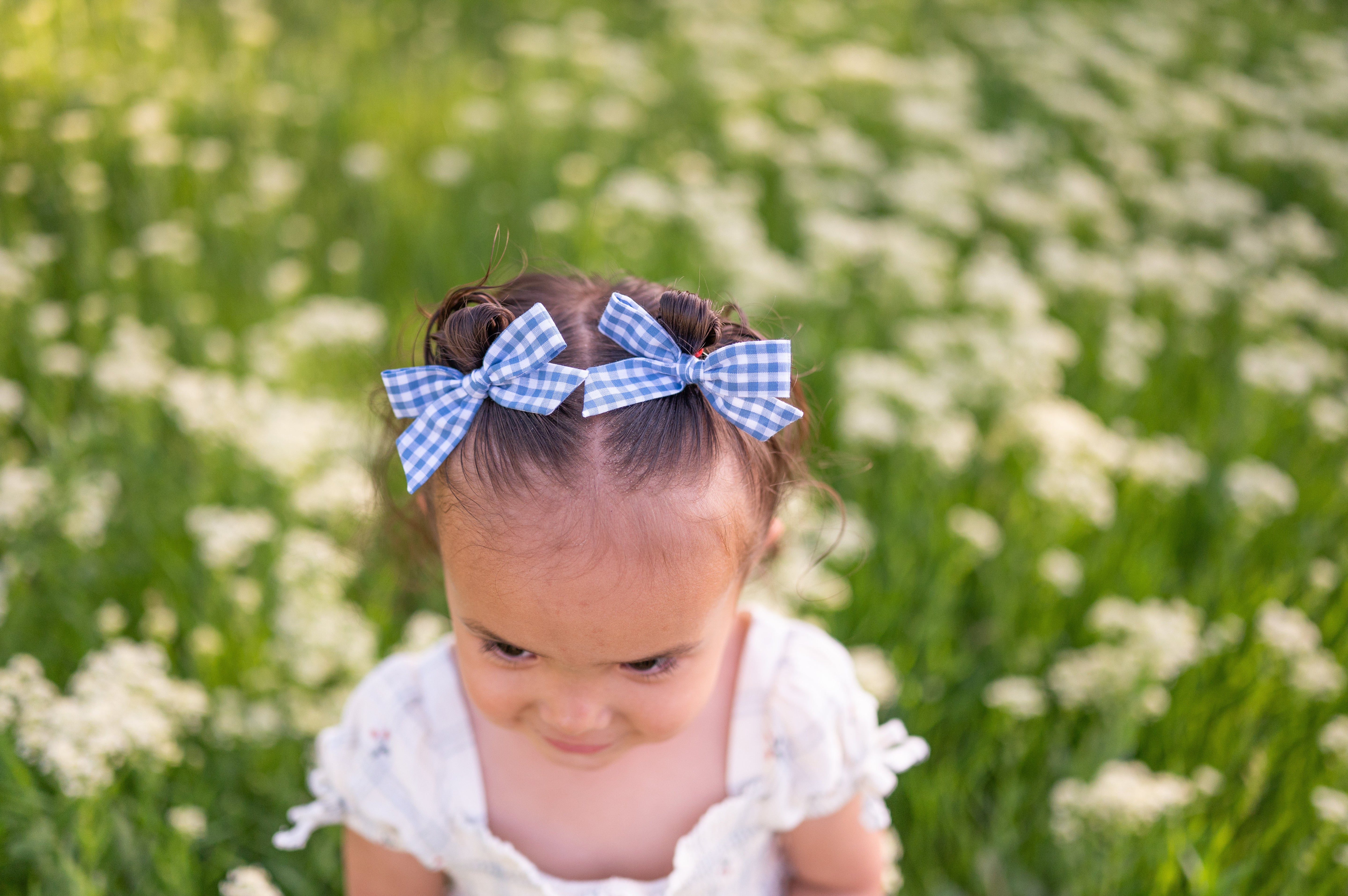 Gingham Glory- Blue | Pigtail Set - Hand-tied Bow