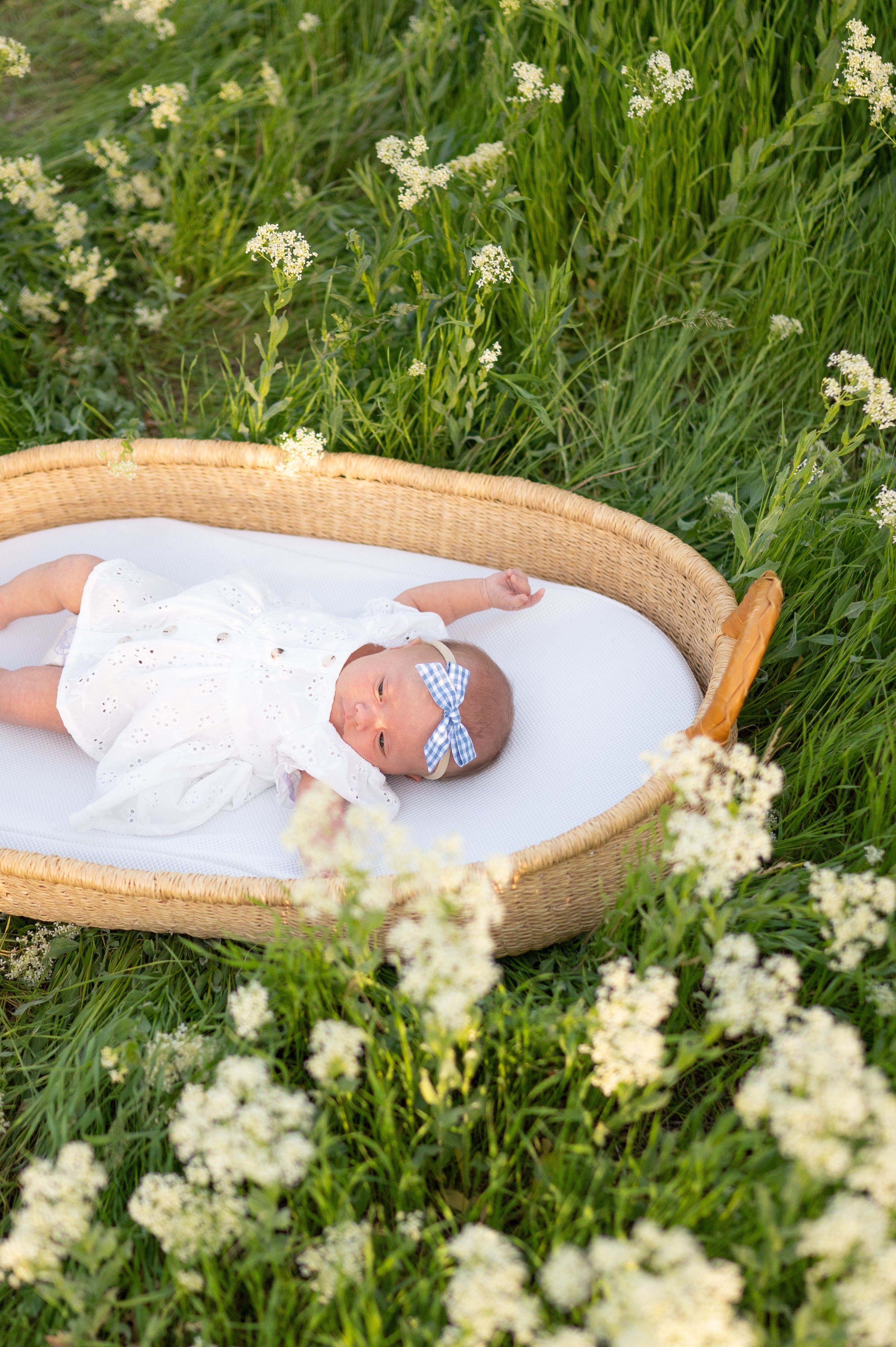 Gingham Glory- Blue | Hand-tied Bow