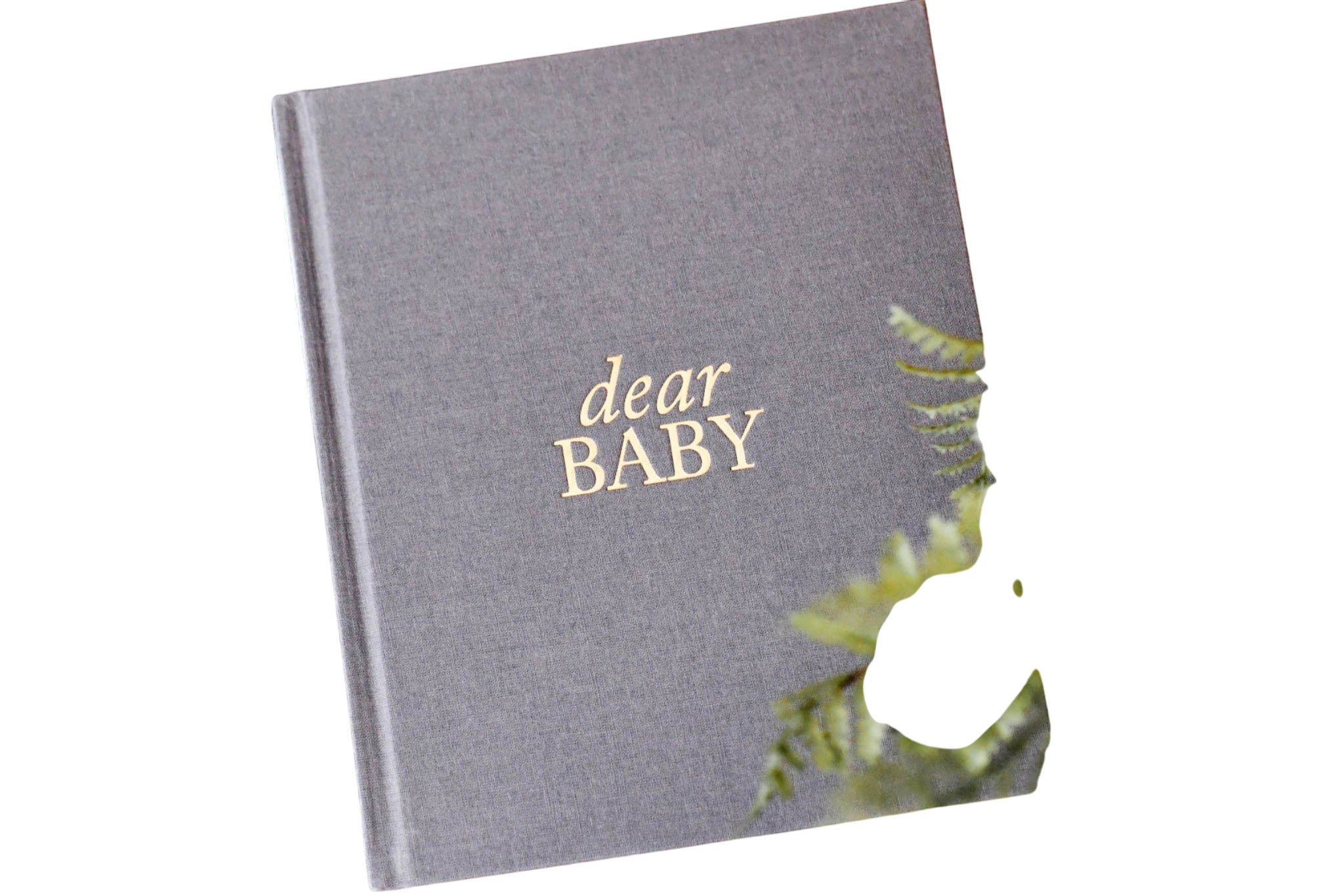 Dear Baby: Pregnancy Prayer Journal