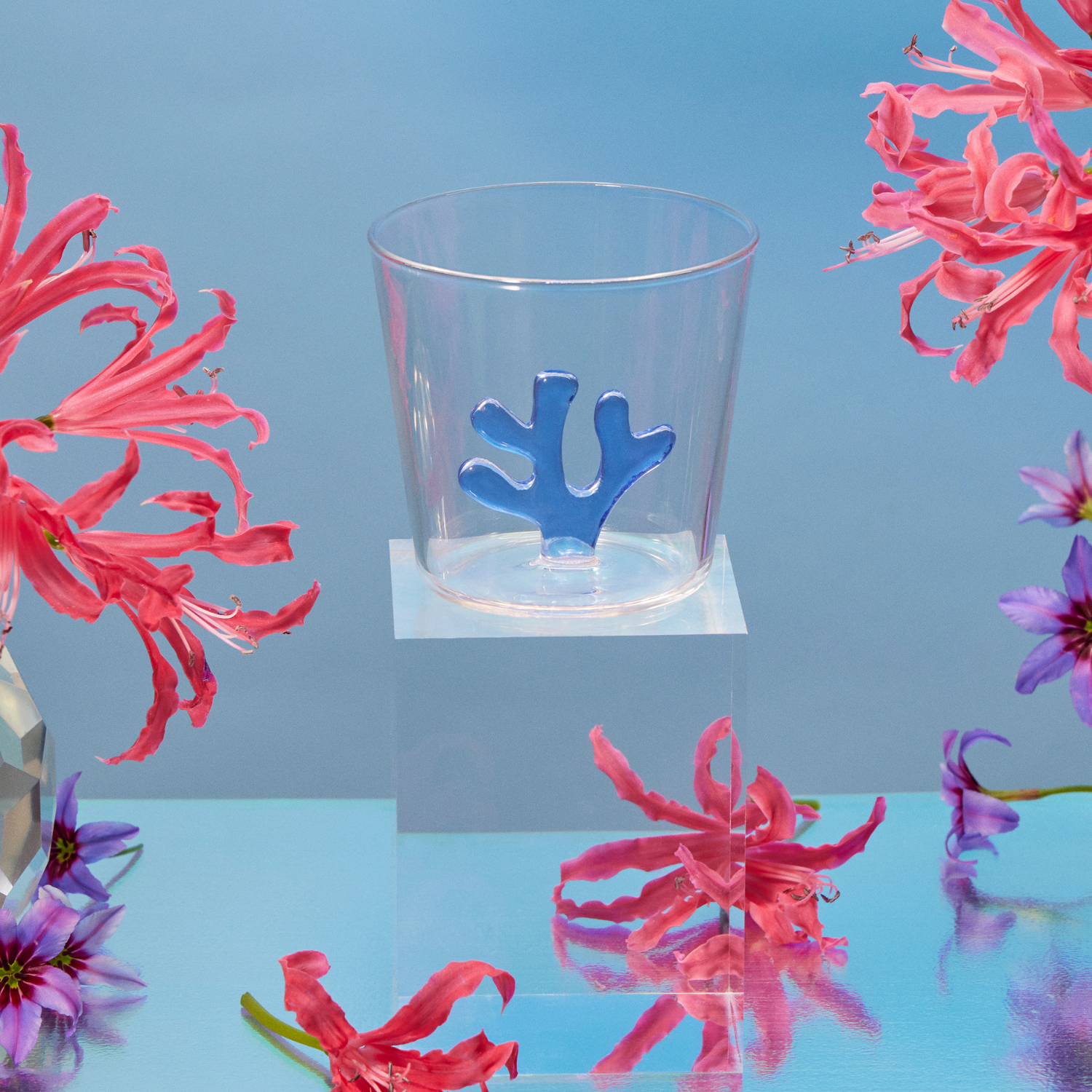 Whimsical Water Tumbler Glasses