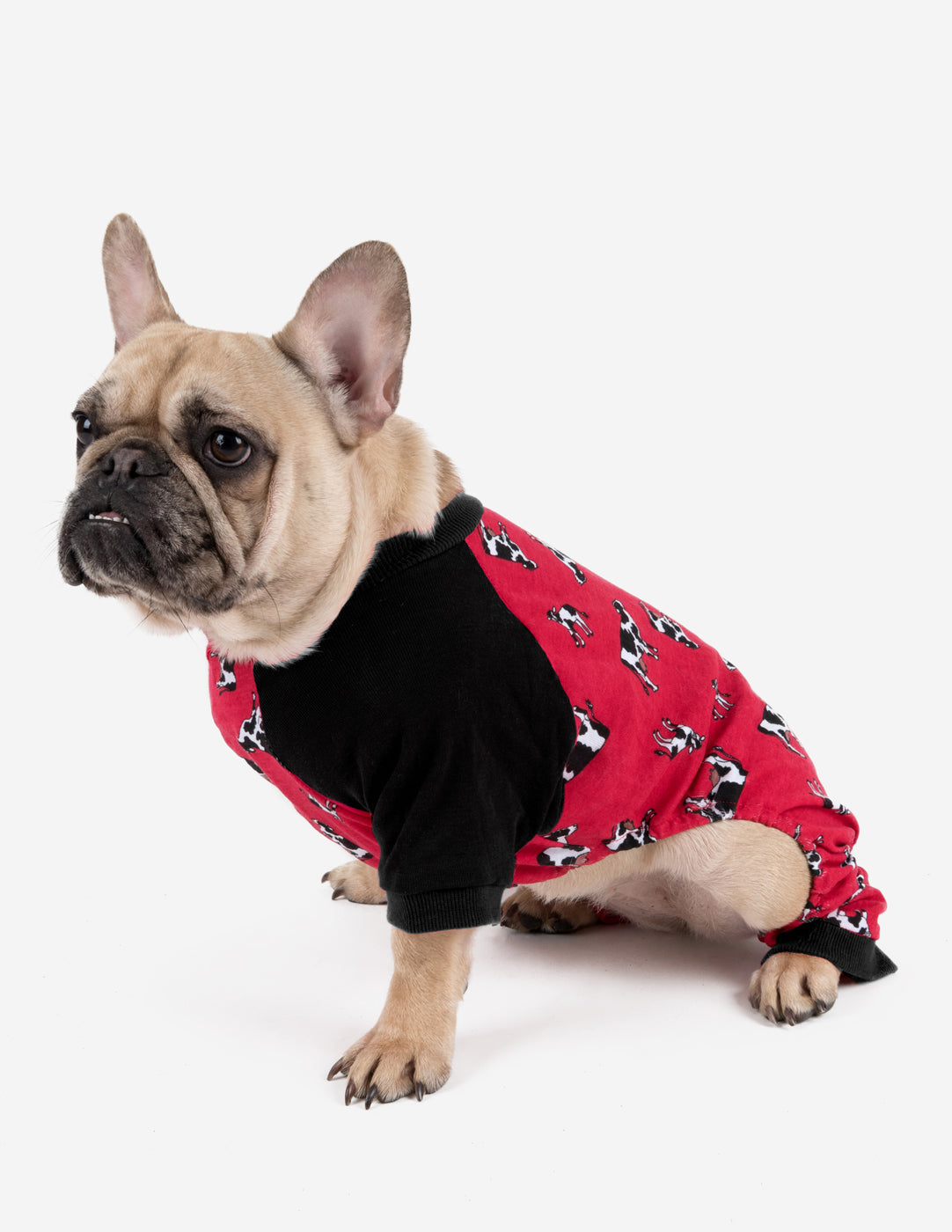 Small Dog Cotton Pajamas
