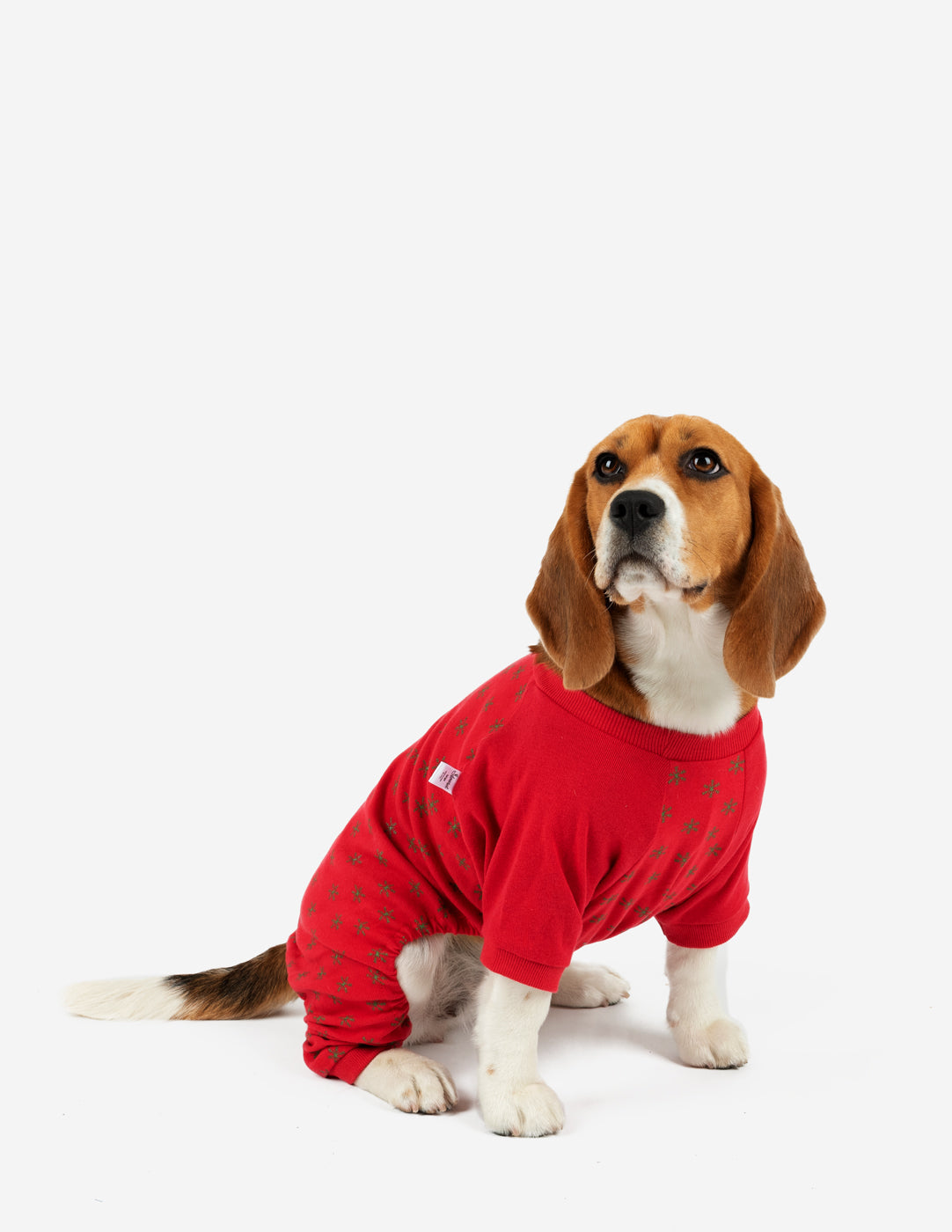 Small Dog Cotton Pajamas