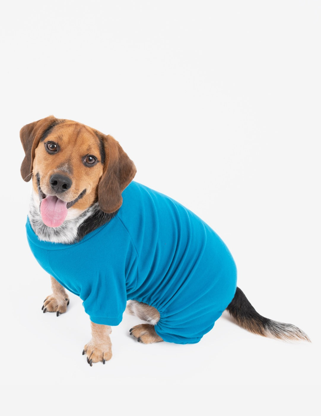 Dogs Solid Color Teal Pajamas