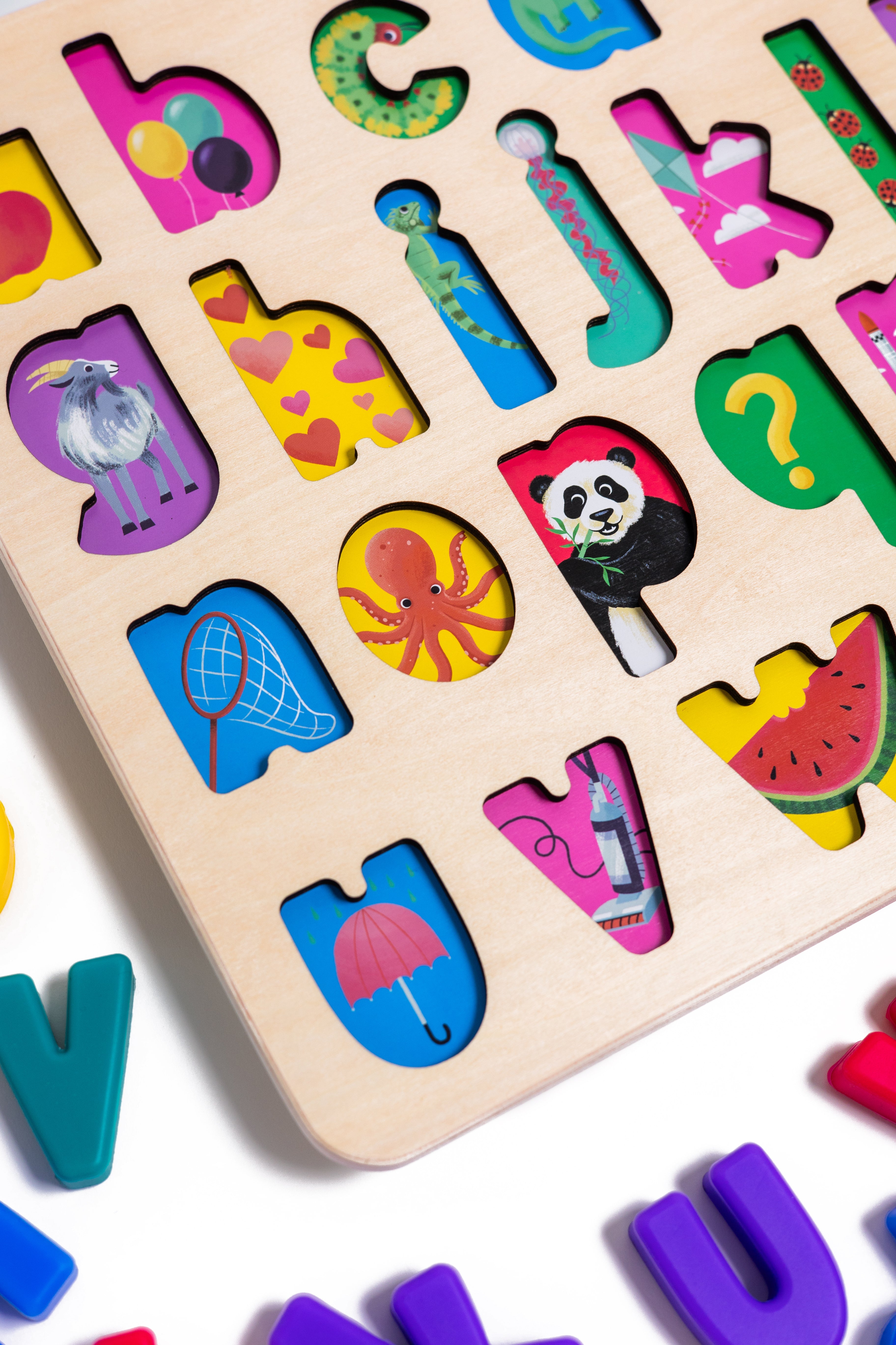 Xyz Find & Fit Puzzle