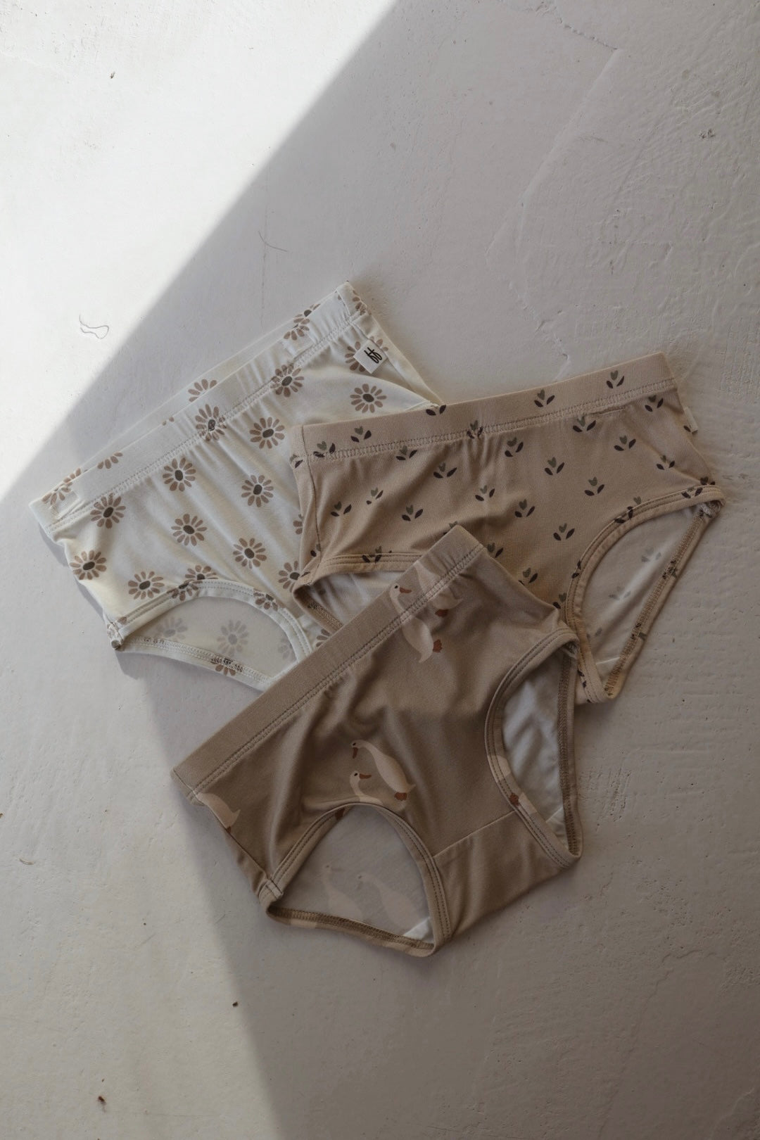 Girl's Bamboo Briefs (3 Pack) | Flora, Silly Goose & Daisy Fields