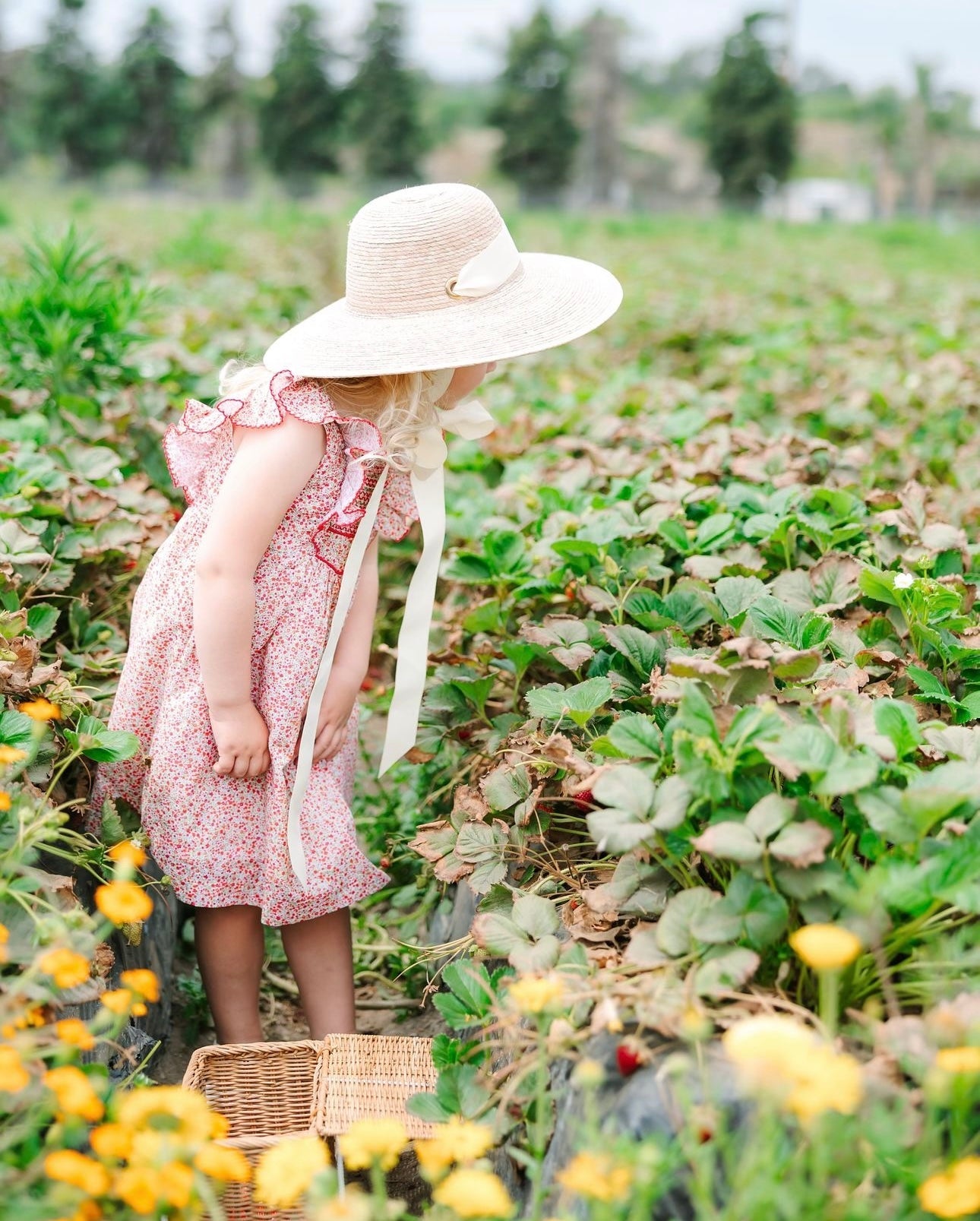 Buttercup Little Girl’s Hat - Olive Green Grosgrain Ribbon