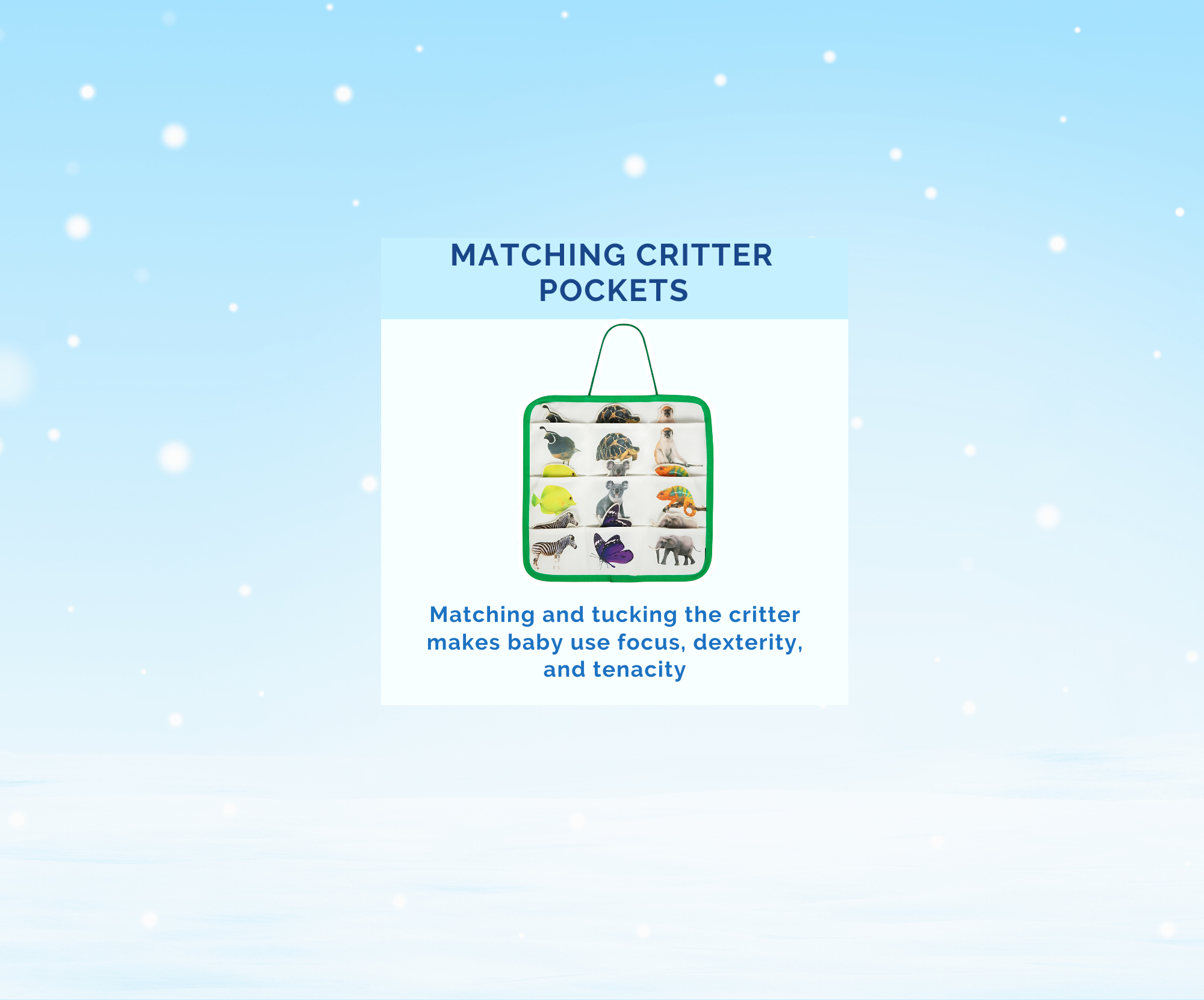 Montessori Educational Box (19-21 Months)